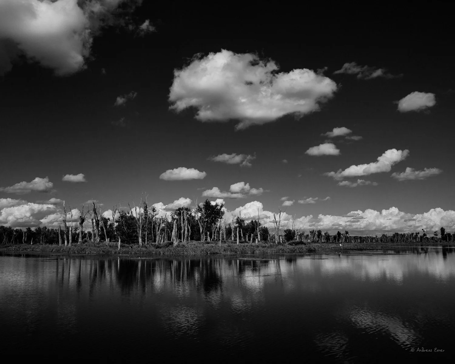 _25B1787_72-2.jpg