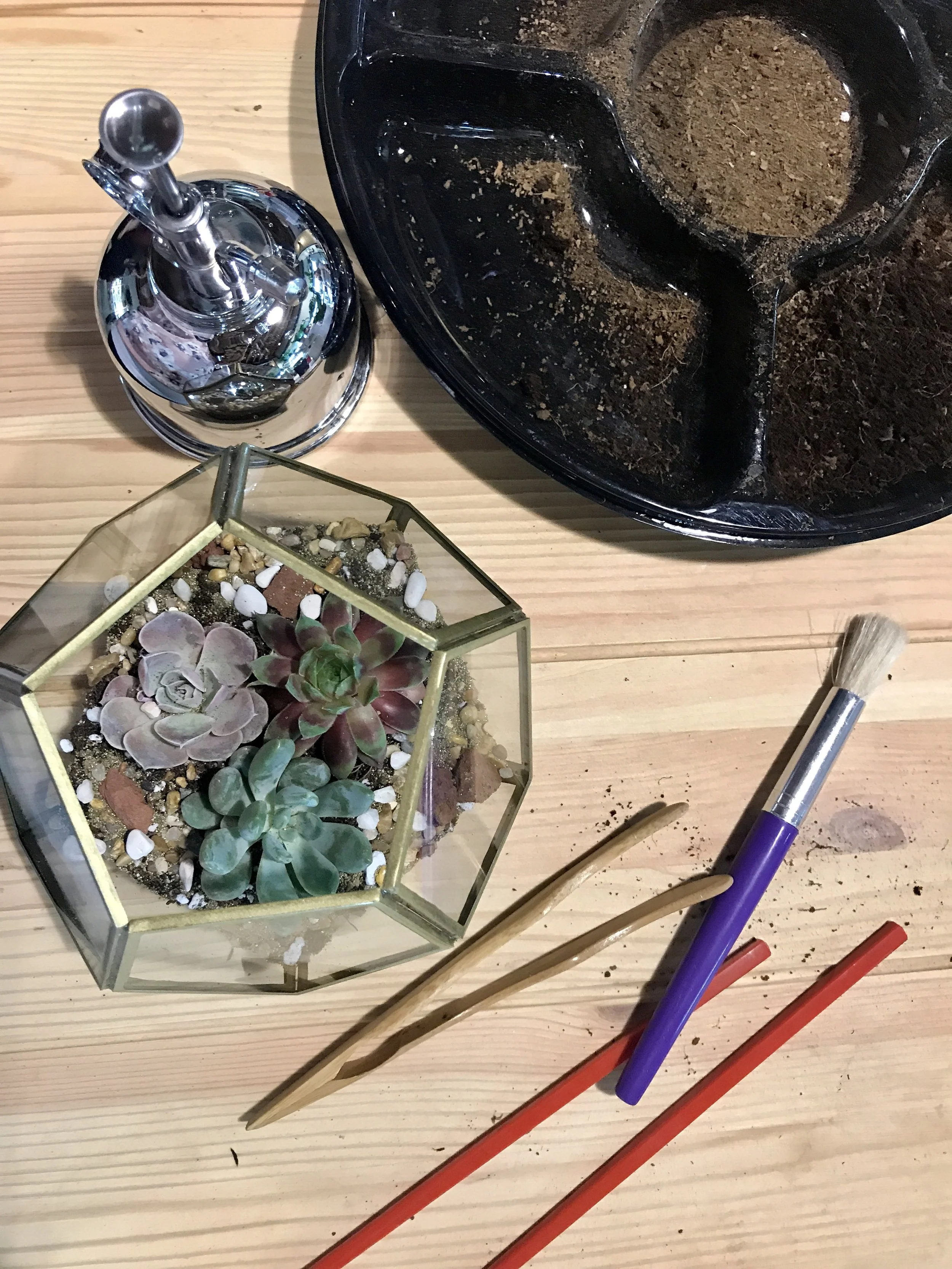 I dig you, terrarium