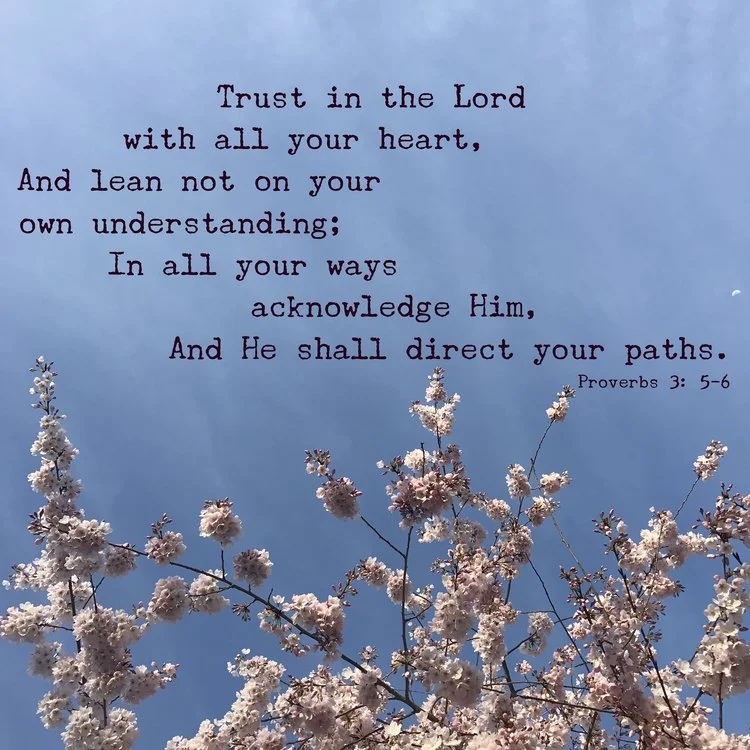 Trust in the plan & process