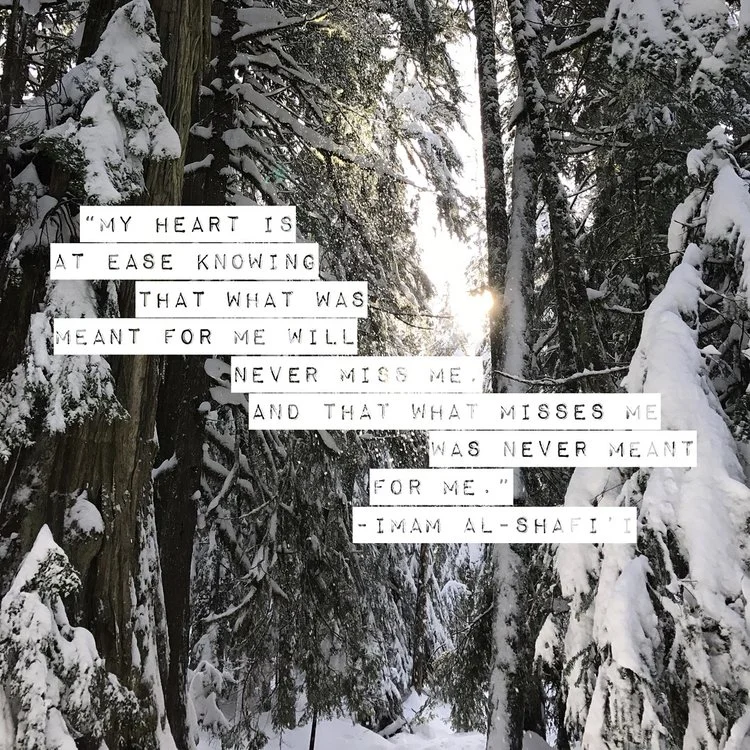 Trust in the process. Trust in timing. 