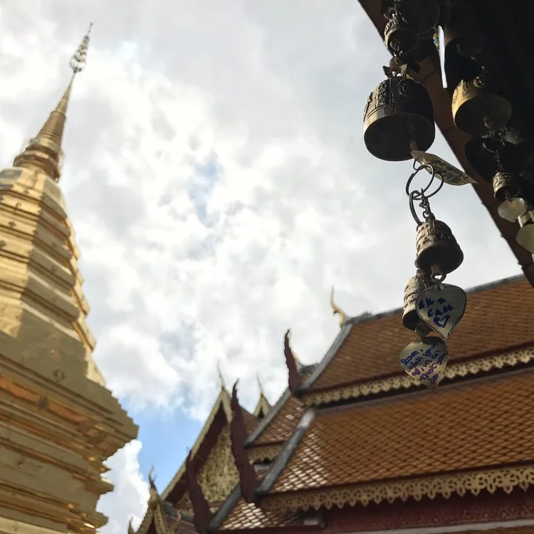 Love, with all your heart, in all that you do