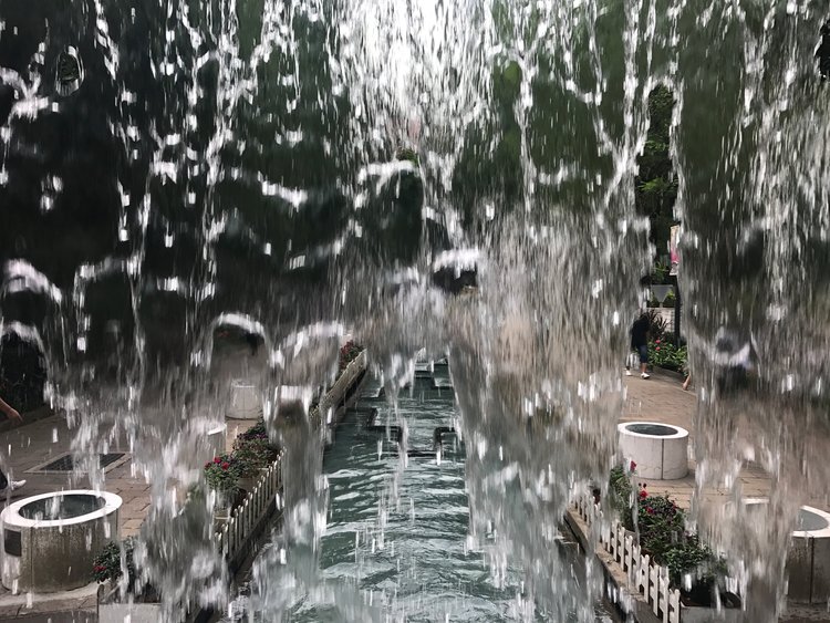 Passive or proactive, we have the choice for better or for worse