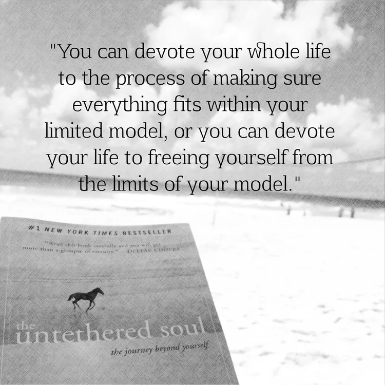 #thelitbit // The Untethered Soul