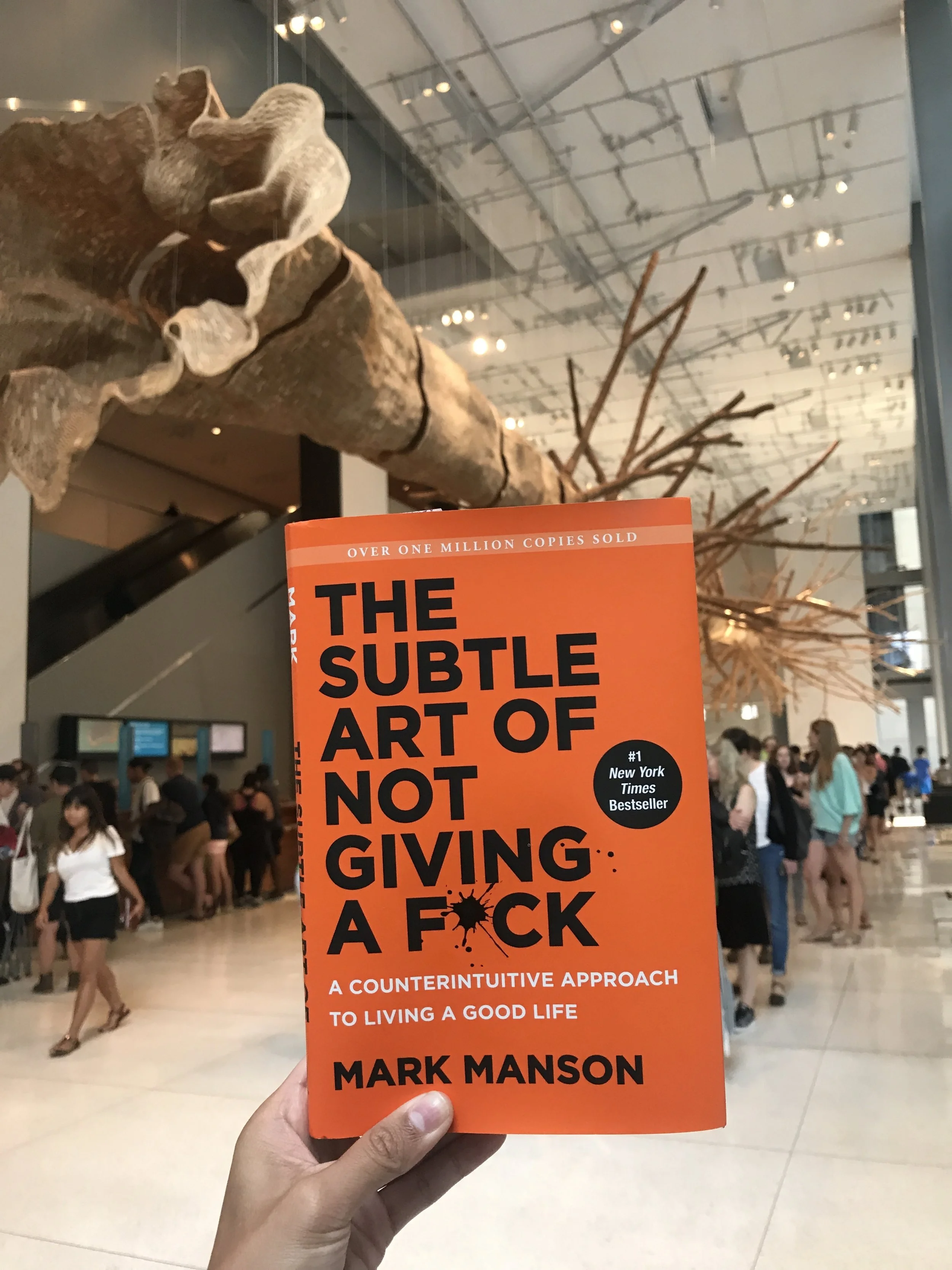 #thelitbit // The Subtle Art of Not Giving a F*ck