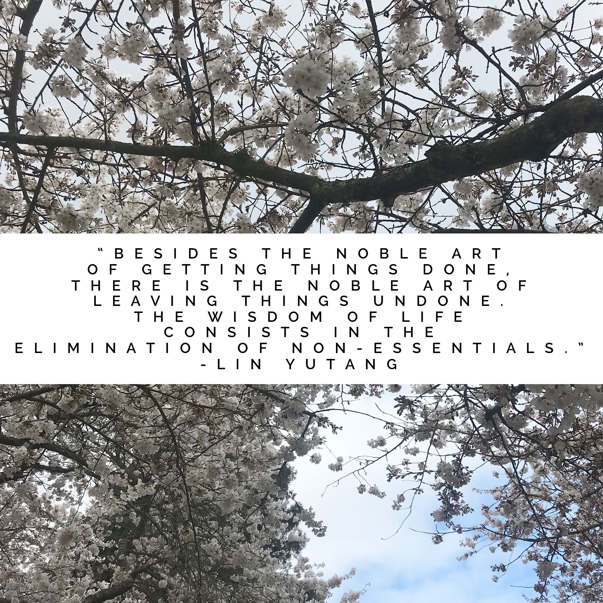 Eliminate non-essentials