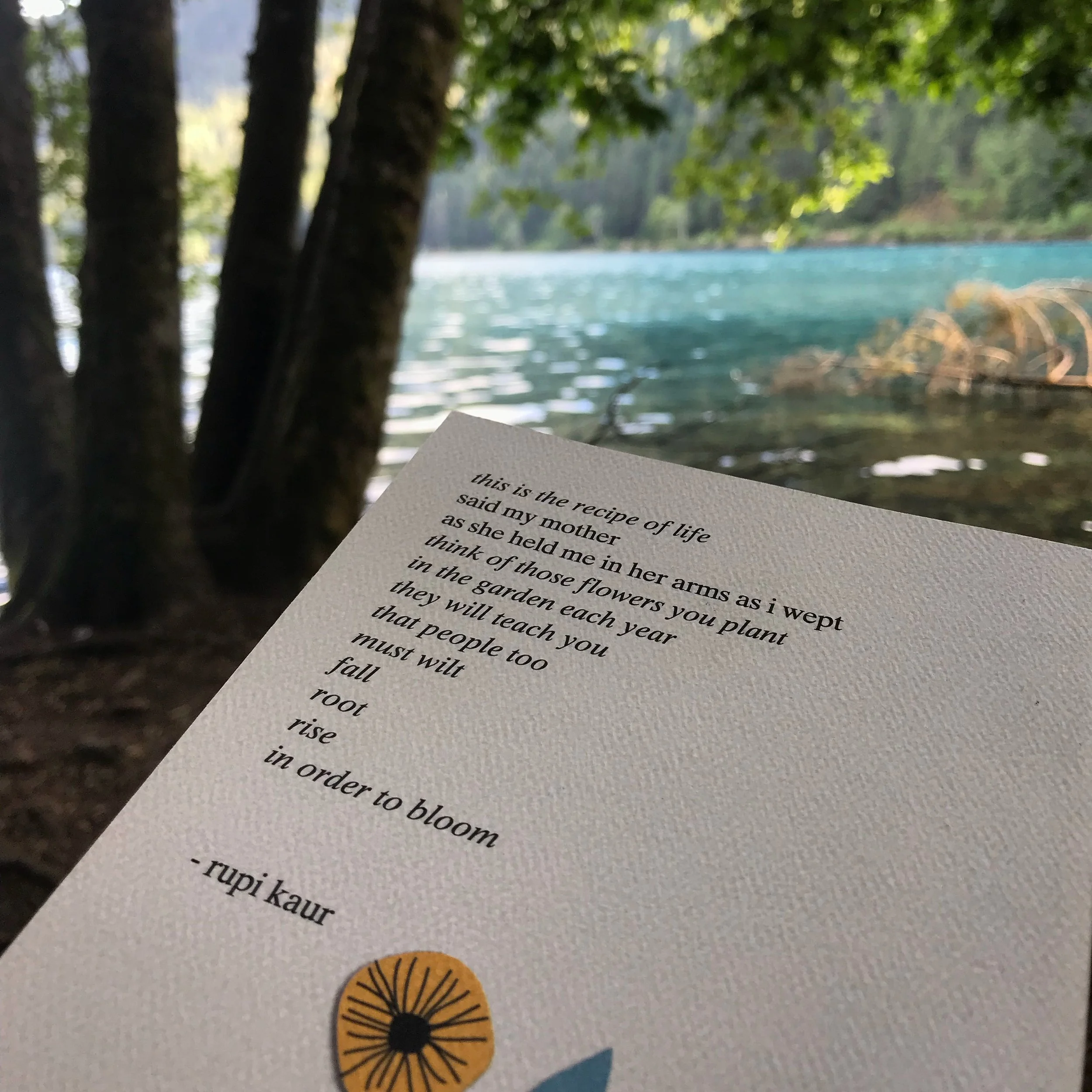 #thelitbit // The Sun and Her Flowers