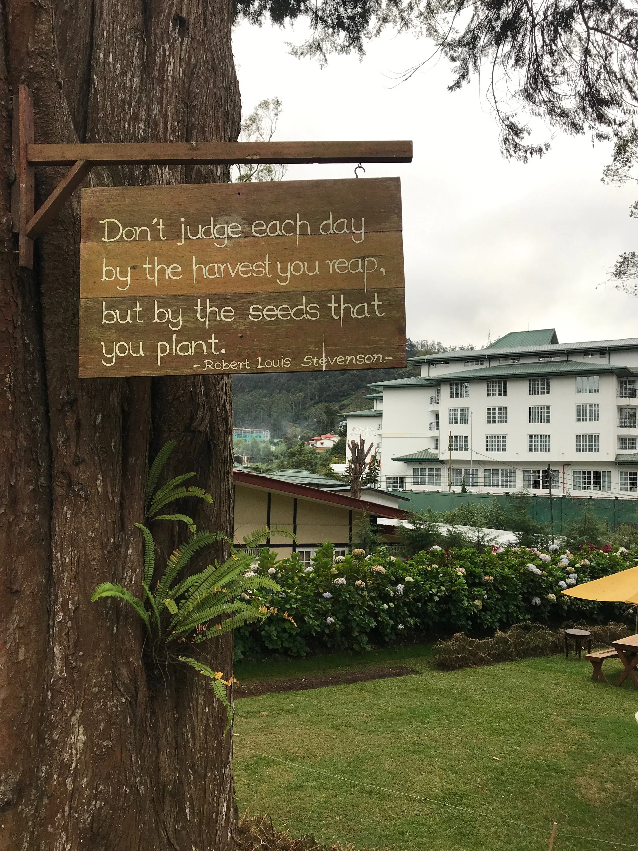 Perspective on the daily