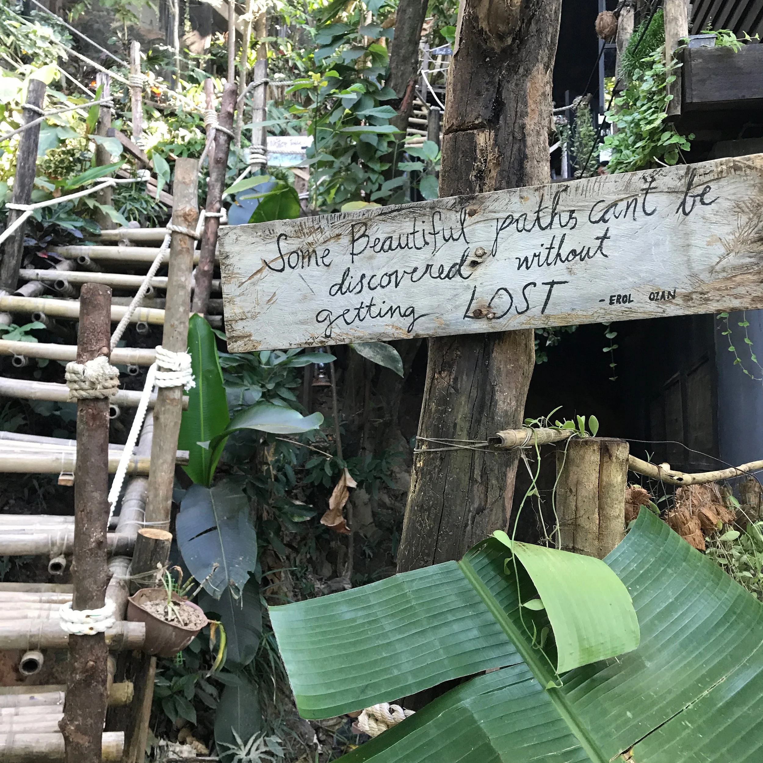 Beauty in the wander