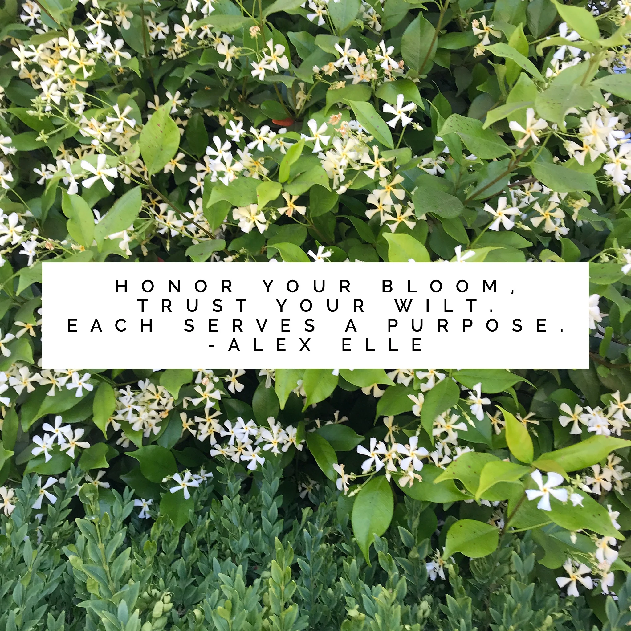 For Each Season, A Purpose