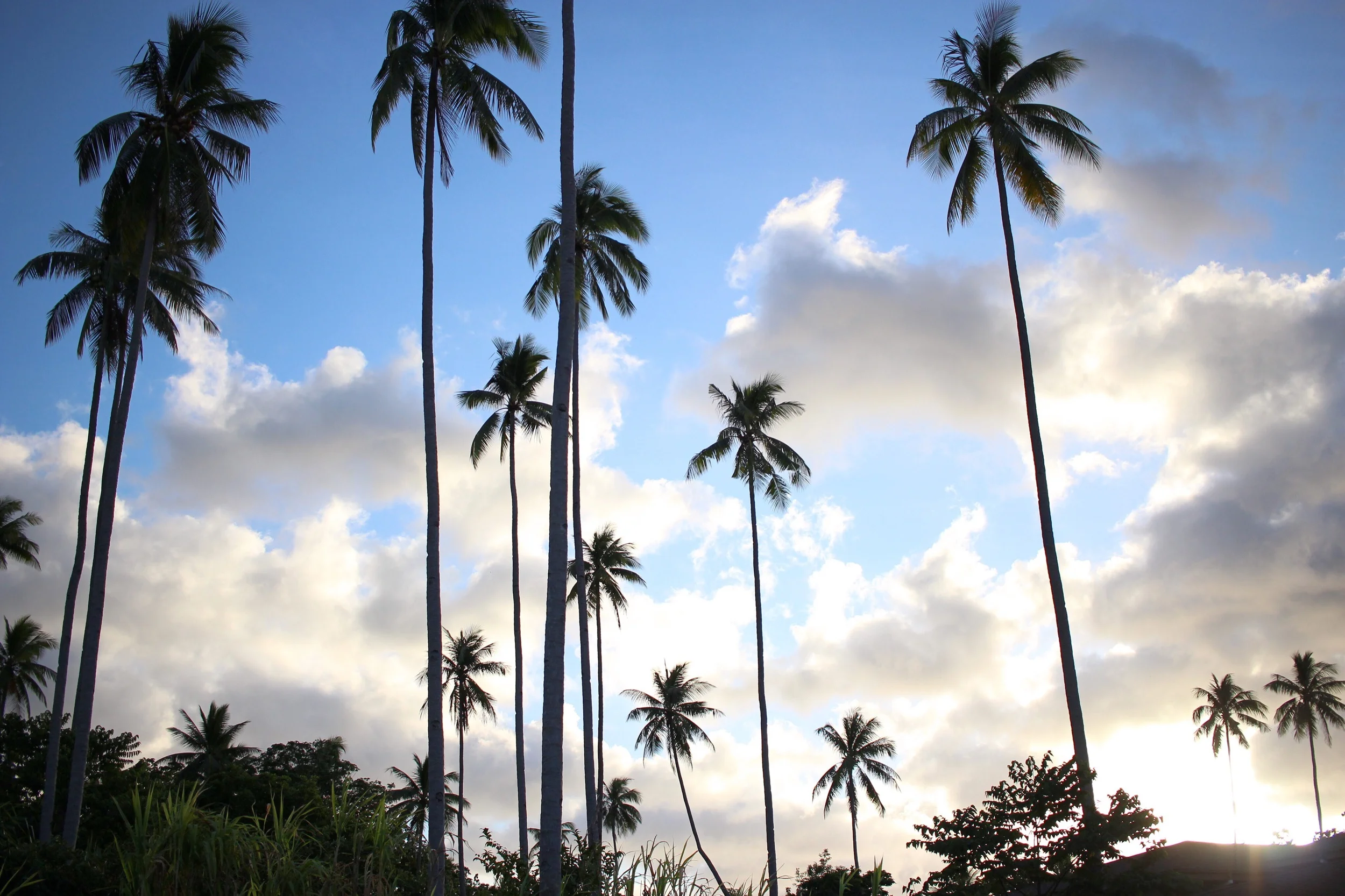 Enlightenment Enough