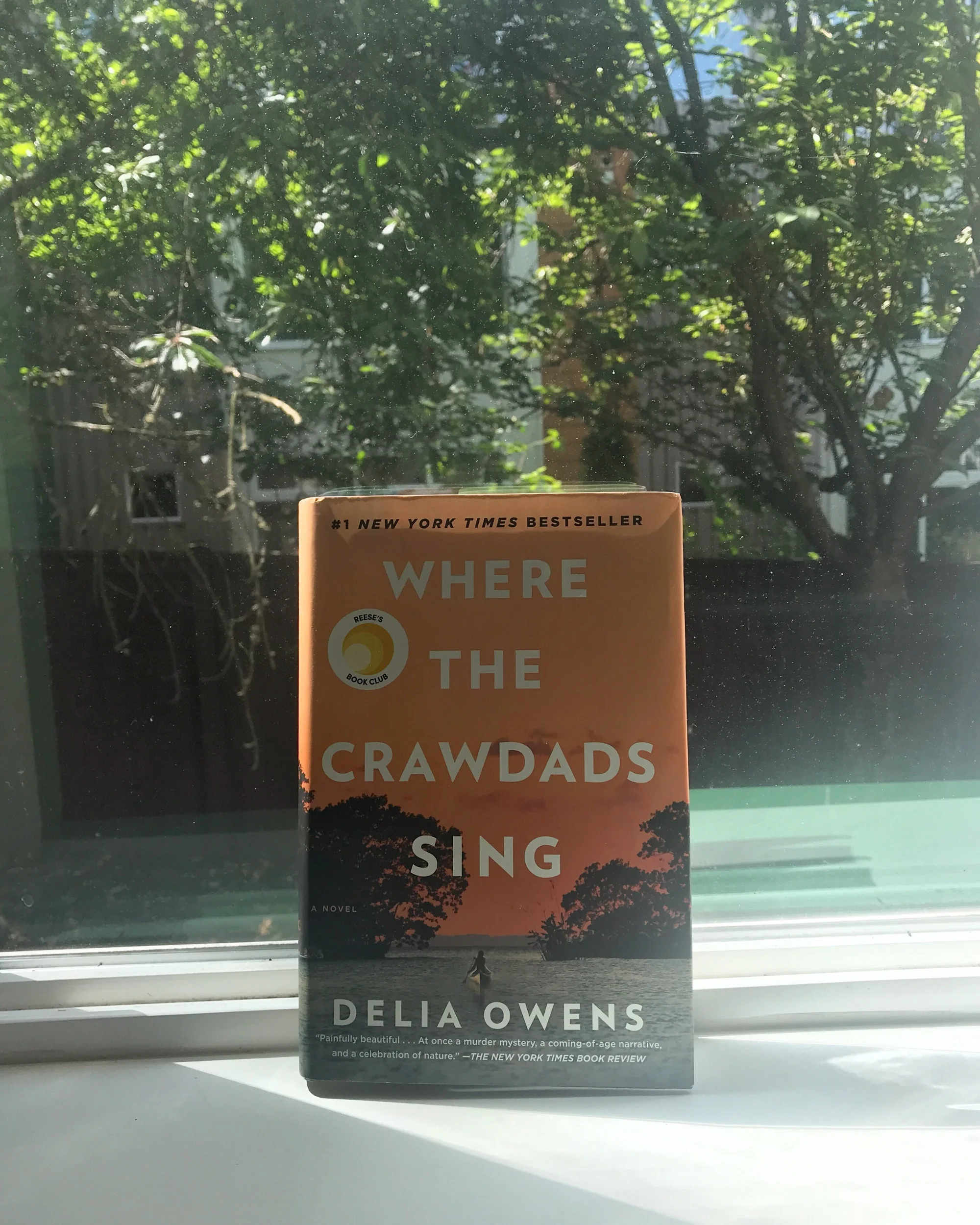 #thelitbit // Where the Crawdads Sing