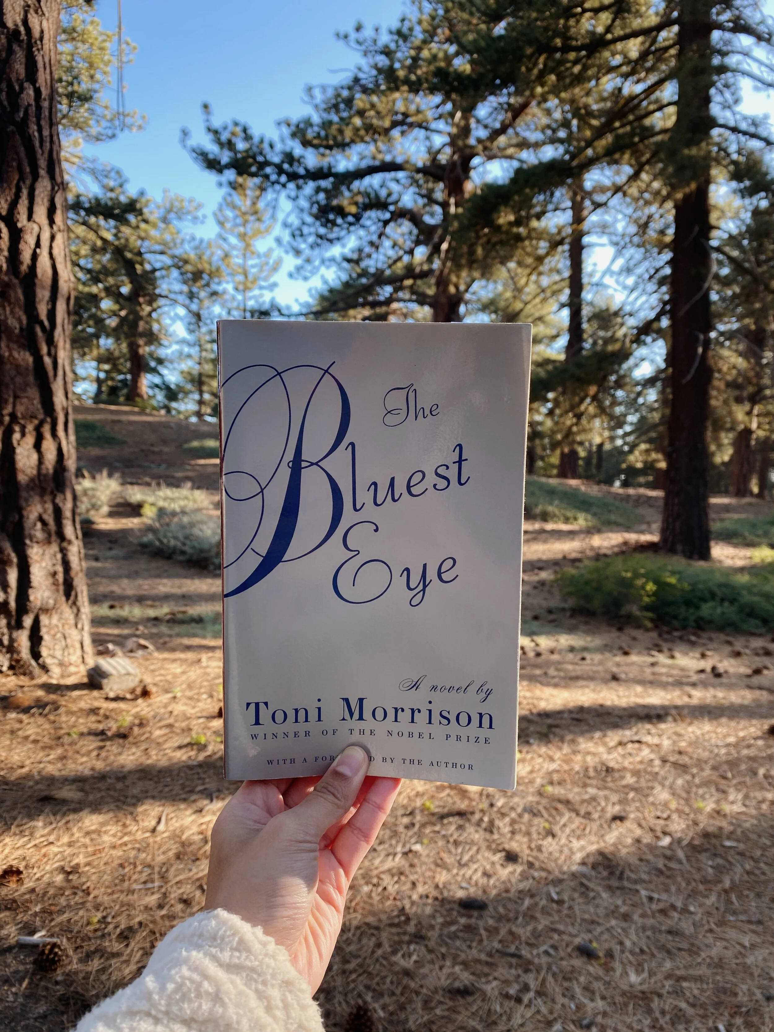 #thelitbit // The Bluest Eye