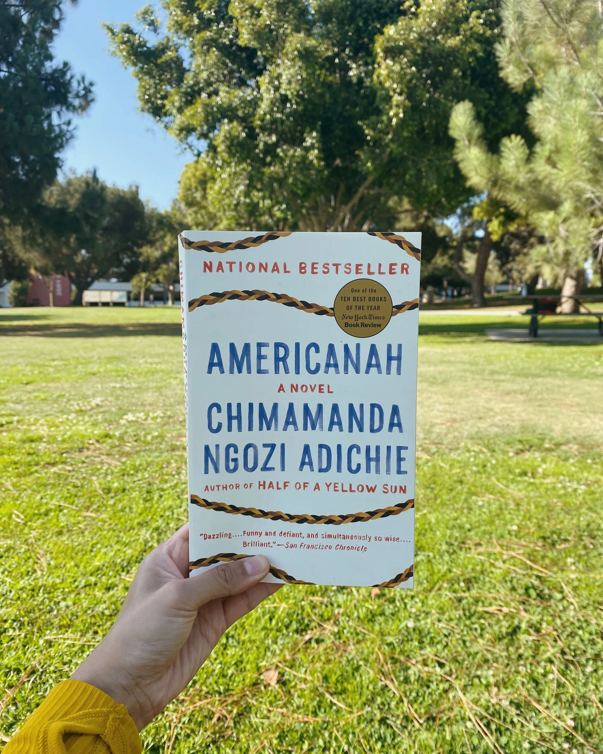 #thelitbit // Americanah