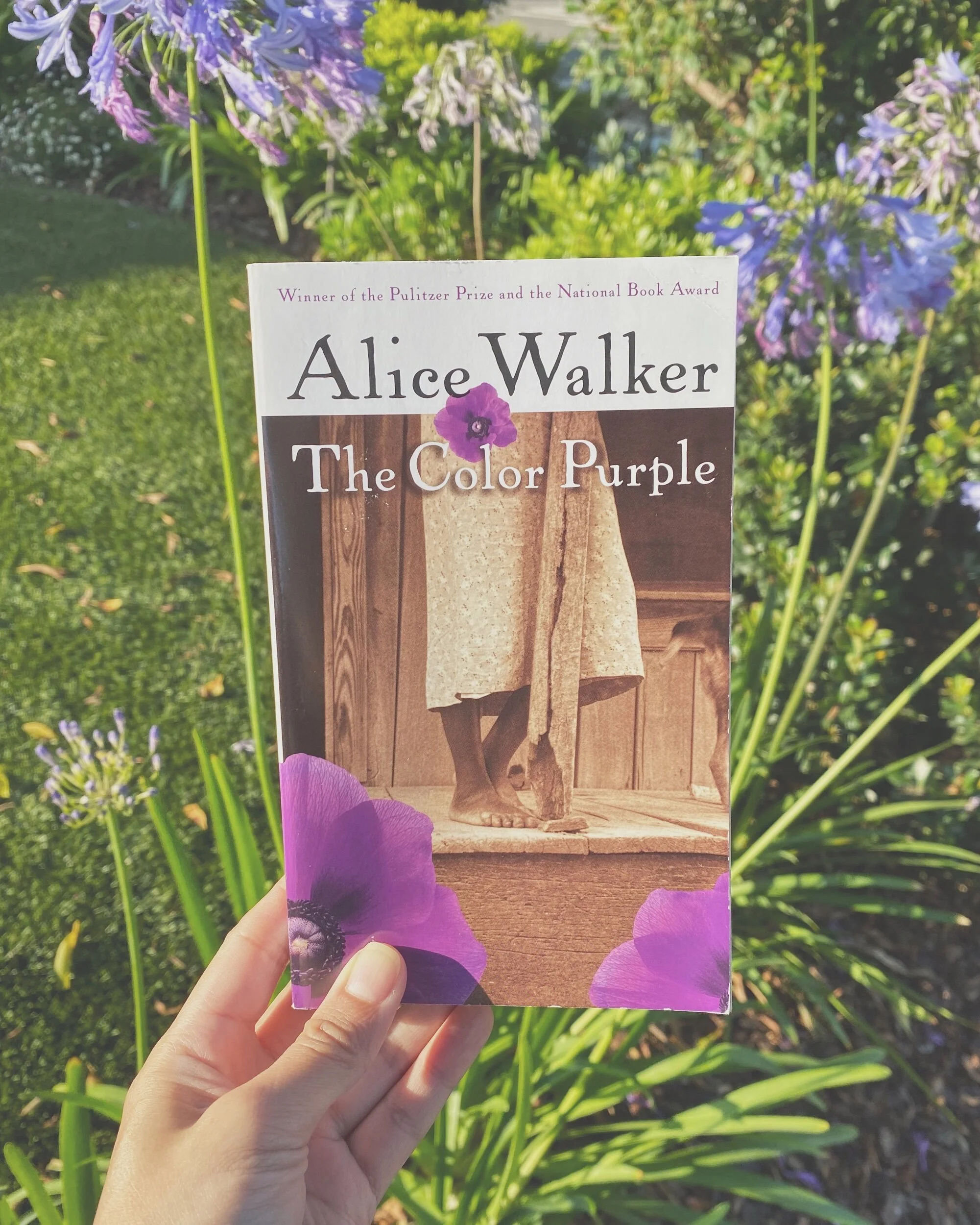 #thelitbit // The Color Purple