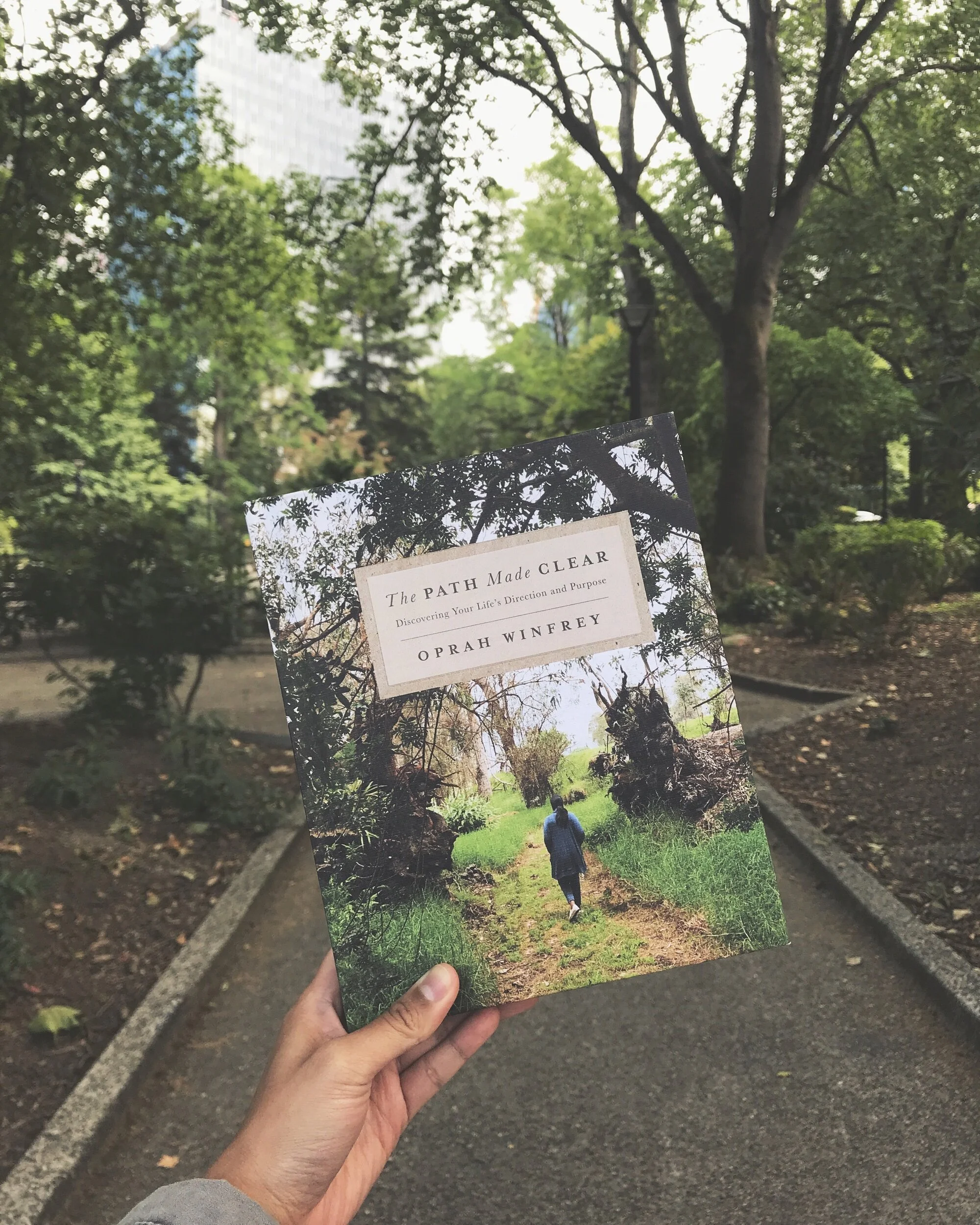 #thelitbit // The Path Made Clear