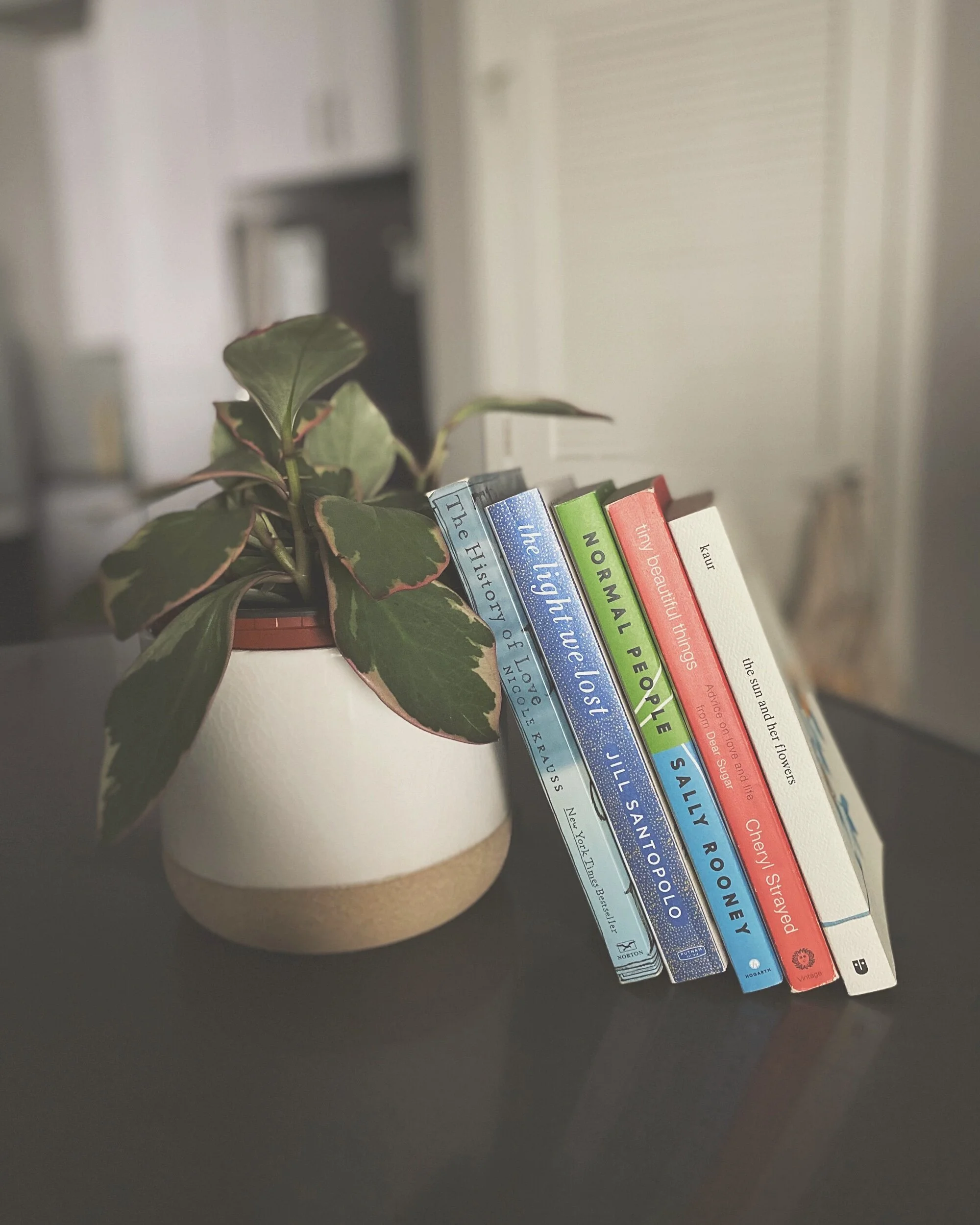 #thelitbit // Valentine’s Day Bookstack