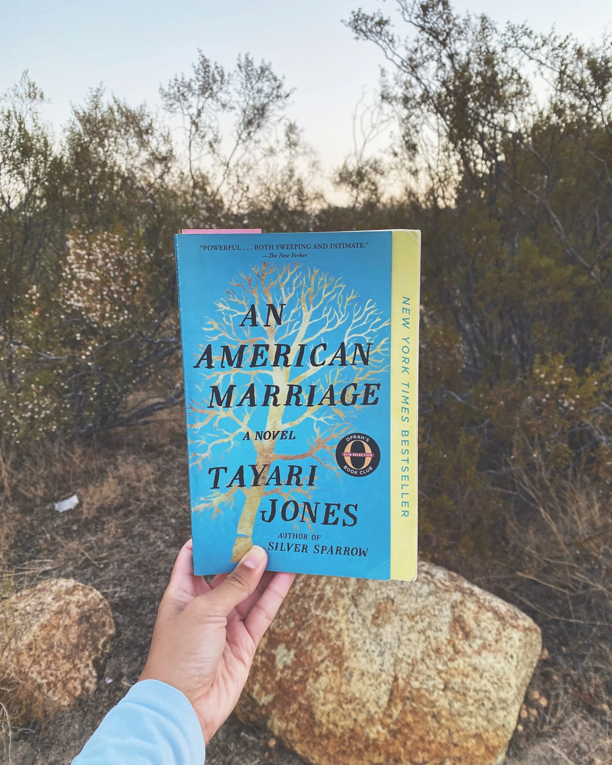 #thelitbit // An American Marriage