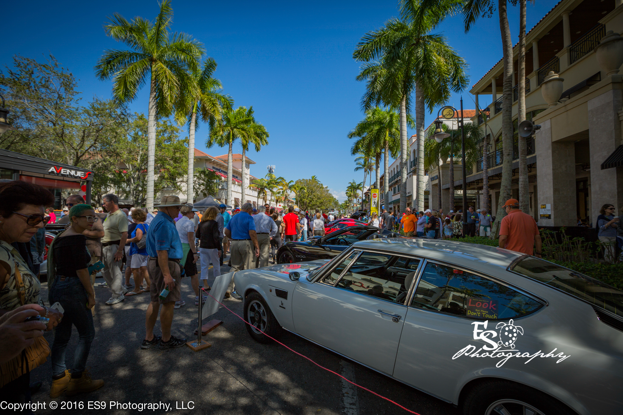 Cars on 5th Street View @ ES9 Photography 2016 Naples Photographer.jpg