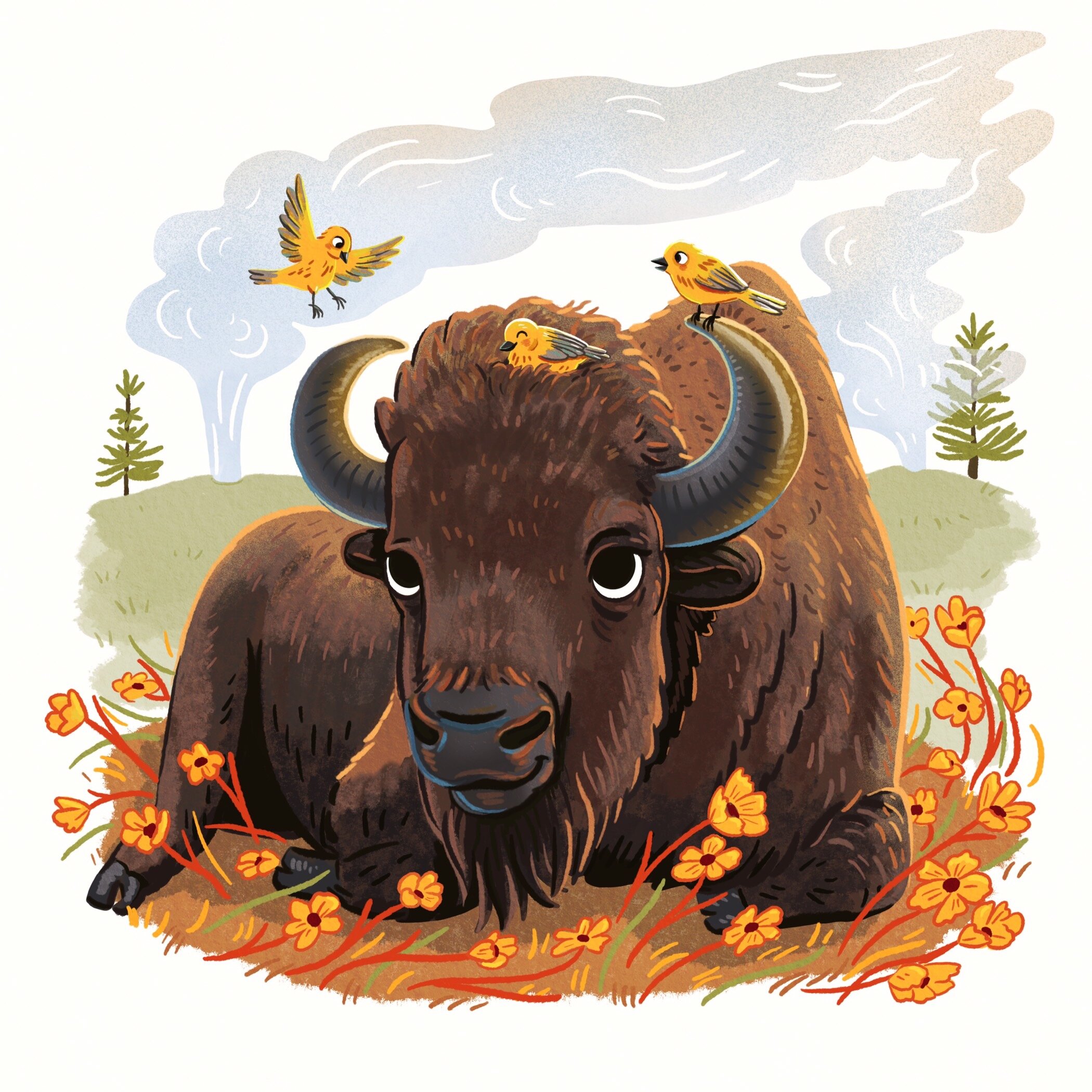 Bison and Birds
