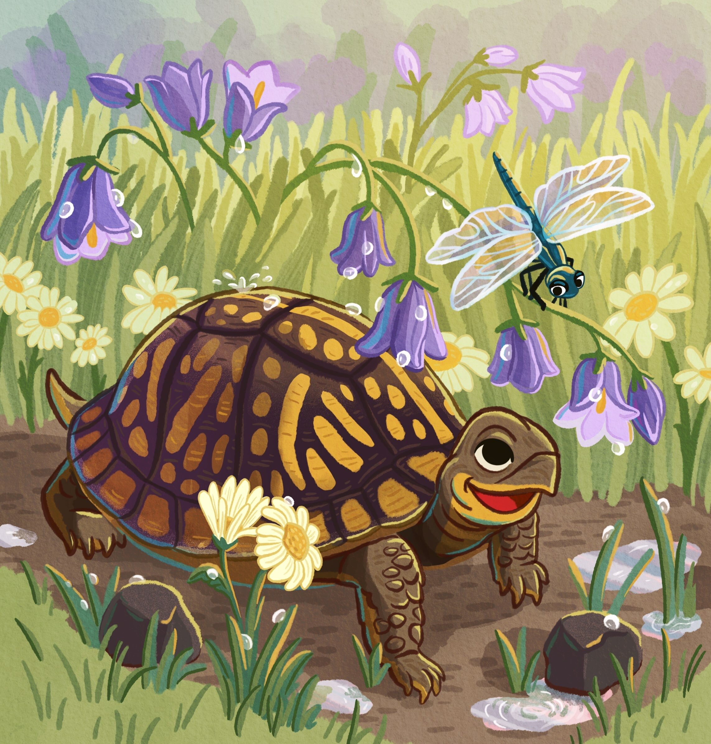 Common Box Turtle and Dragonfly