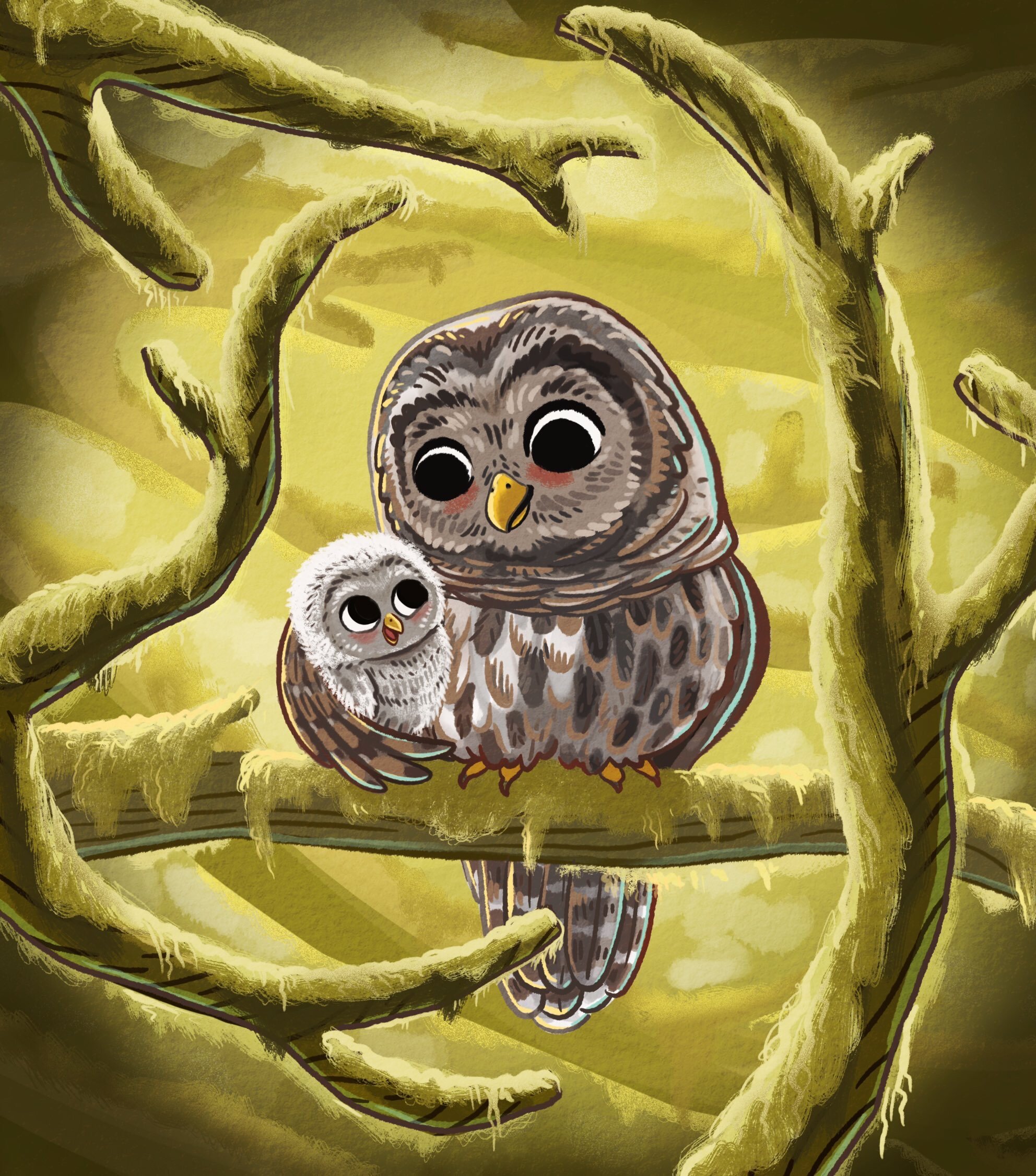 Barred Owls on Mossy Branches
