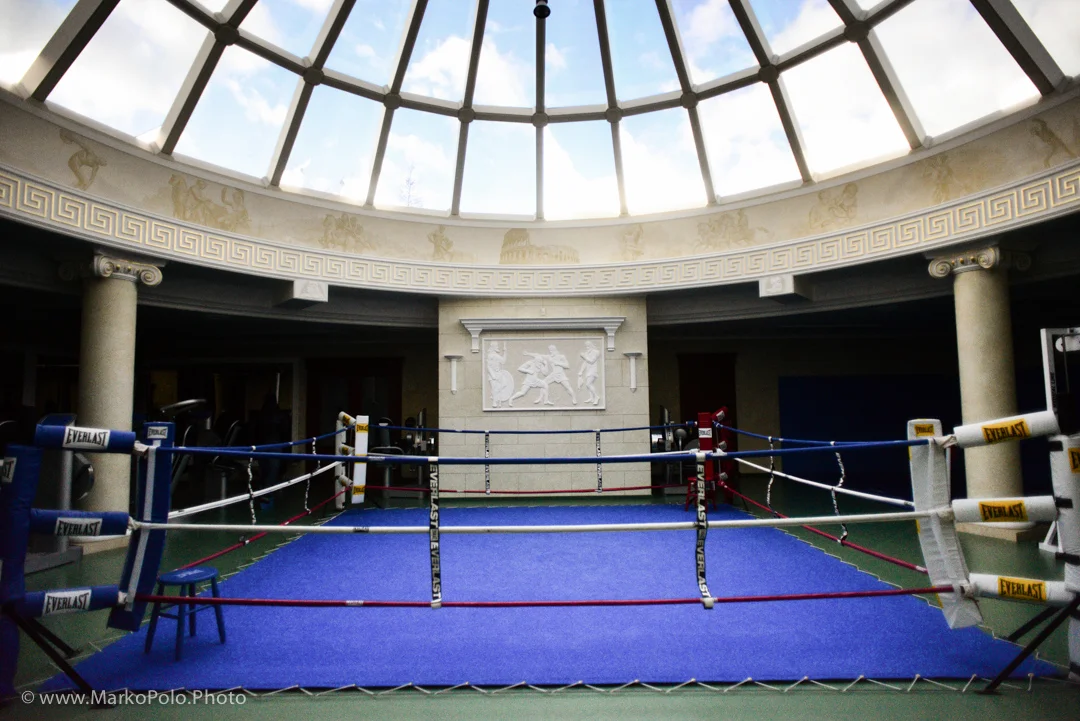 Boxing ring along with some 20 exercise machines that mostly never been used. Roof in the form of a 360 dome with mirrored outside
