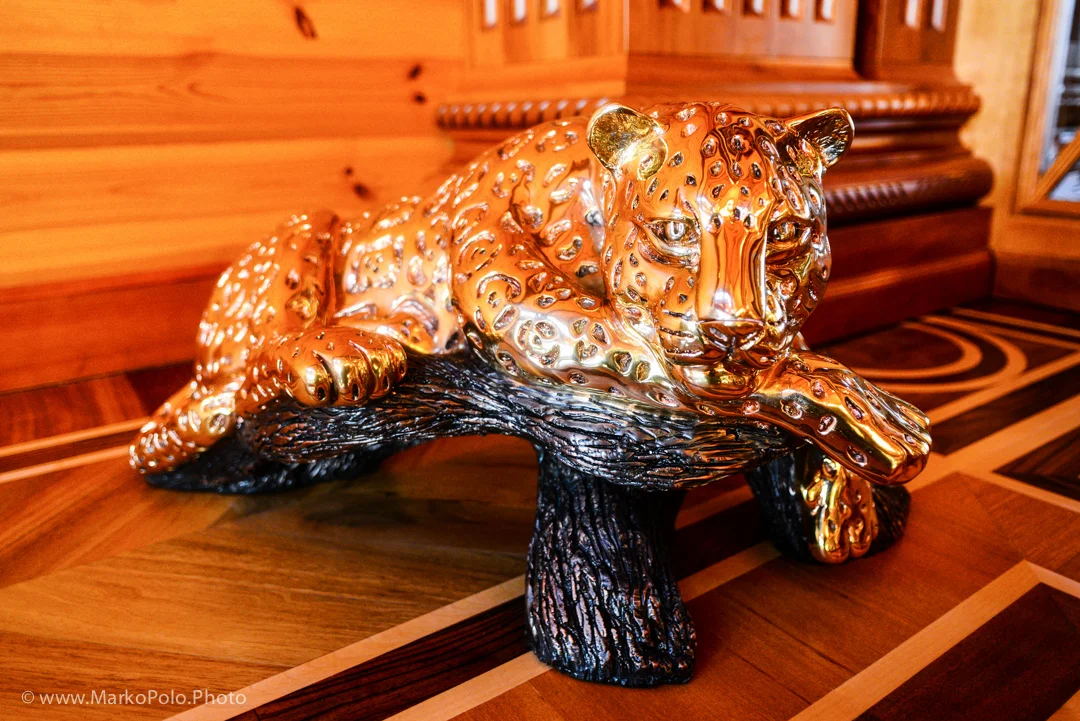 I guess this leopard was too big and heavy to take