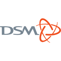DSM.png