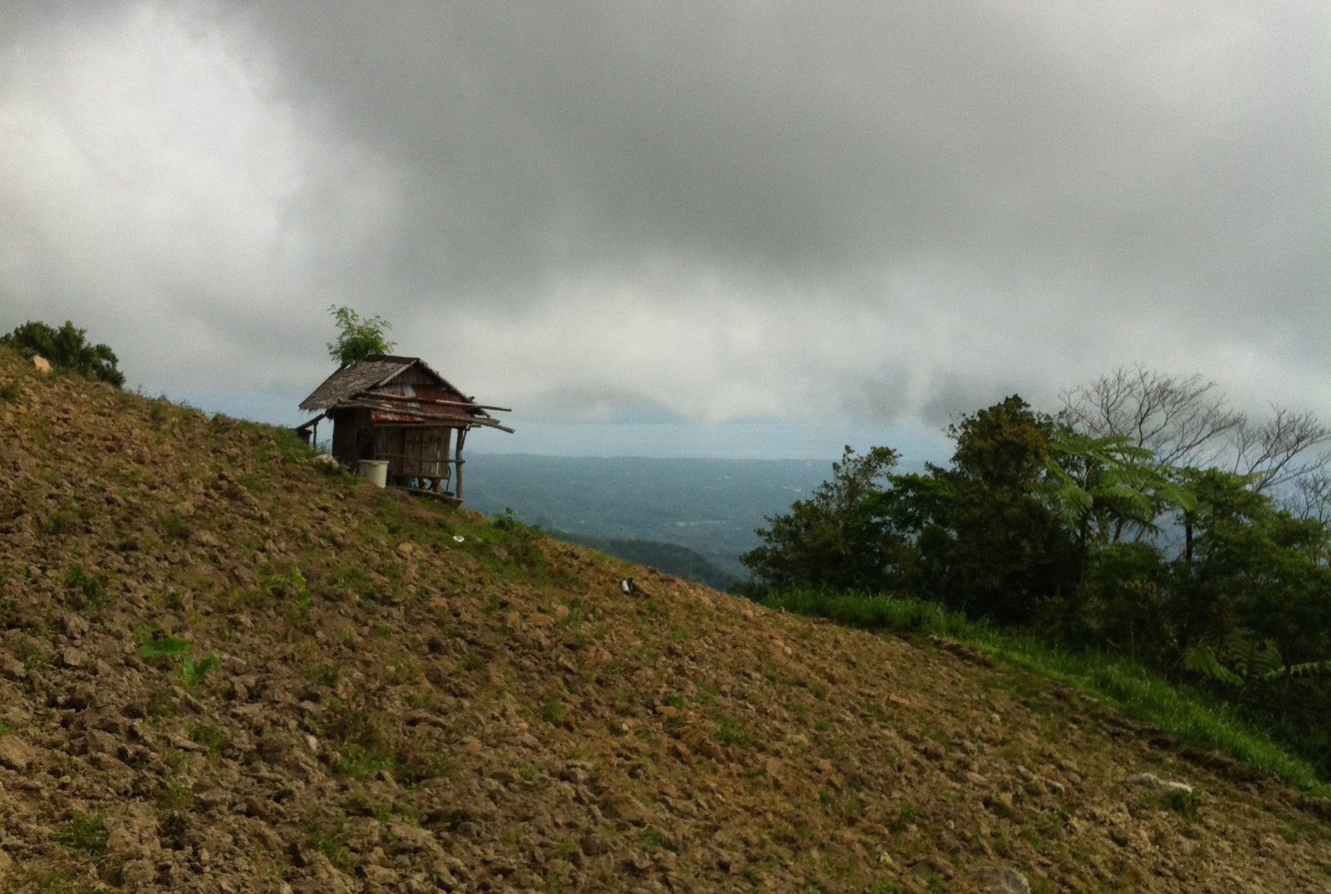 farmhouseOnHill.jpg