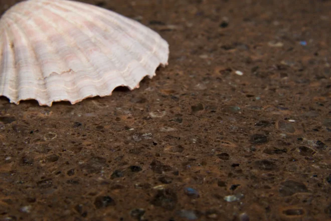 quantum quartz engineered stone - taurus_brown_pearl.jpg
