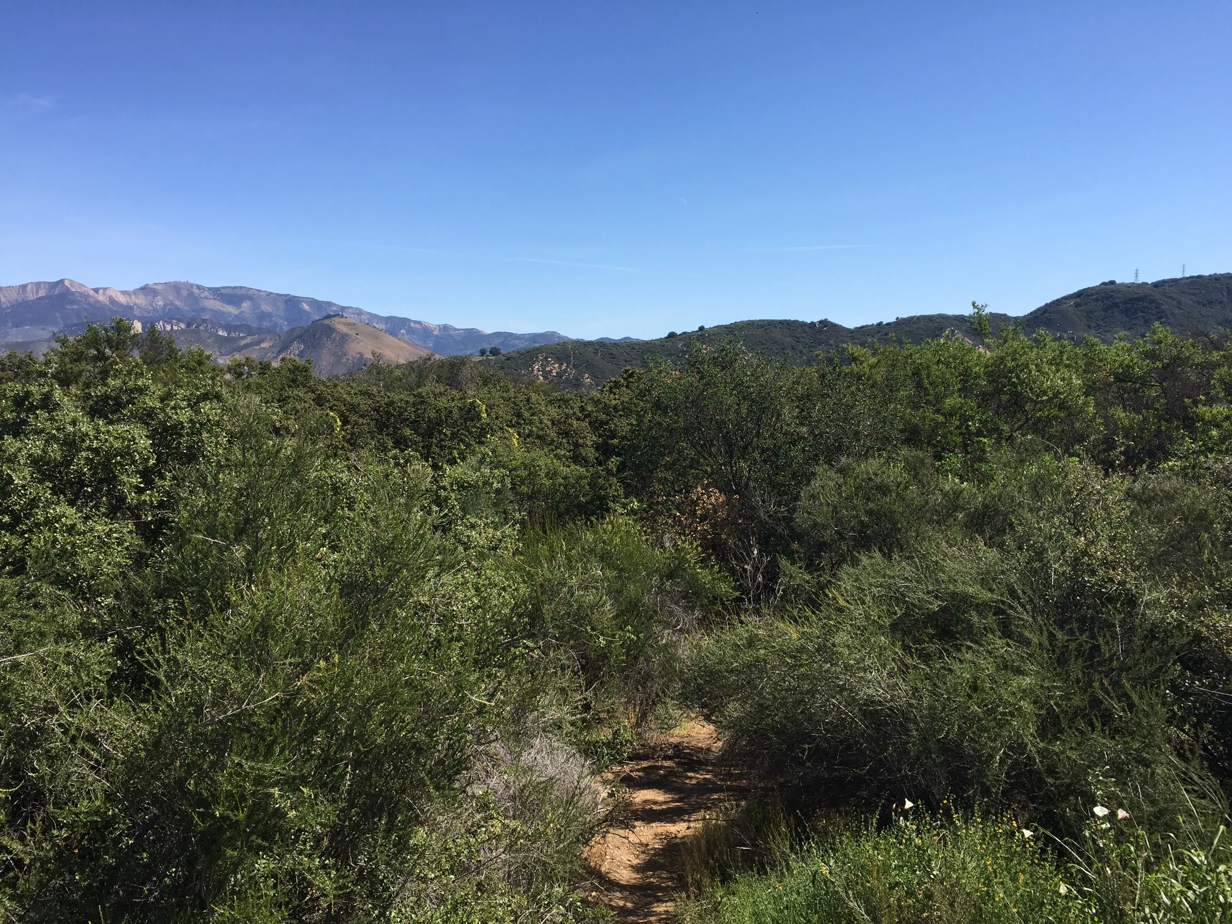 Traveling Without Amirah