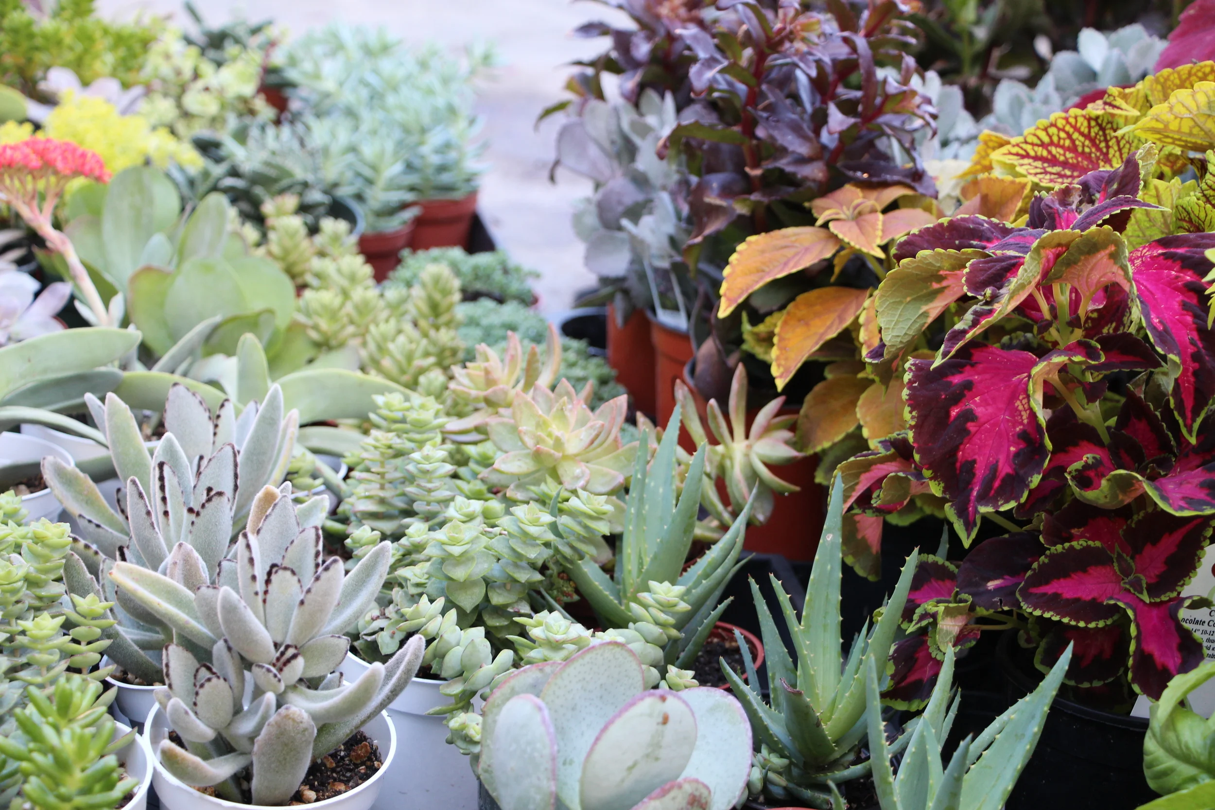 Be The Change You Wish To See