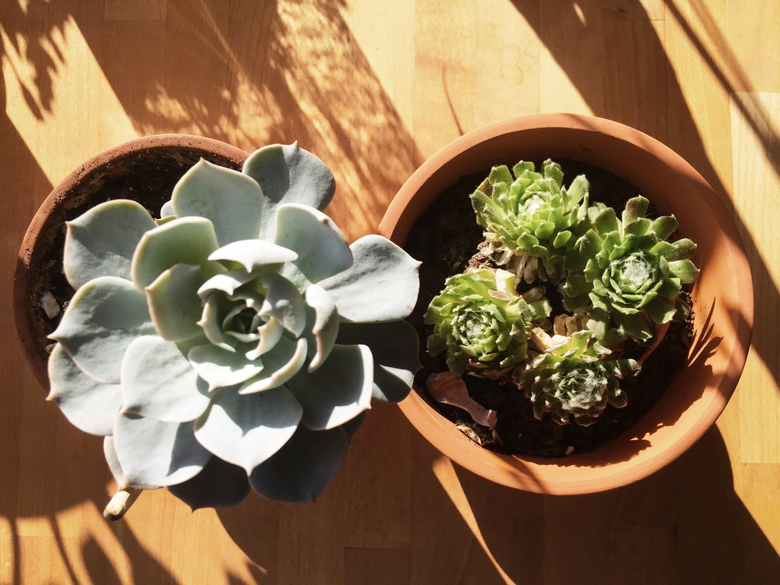 My Experience with Progenity Genetic Testing