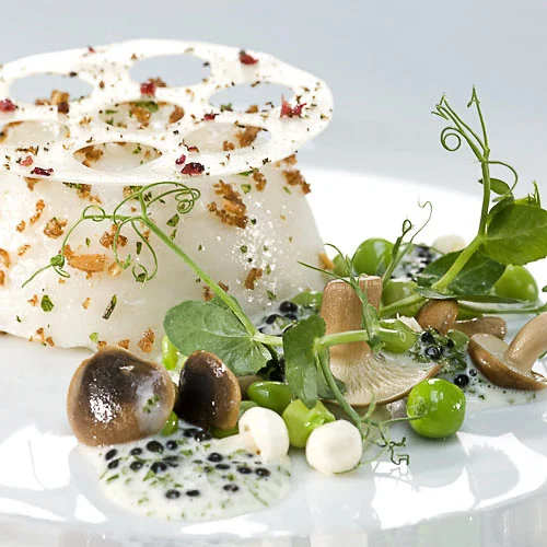 Kokkelandsholdet fiskeret