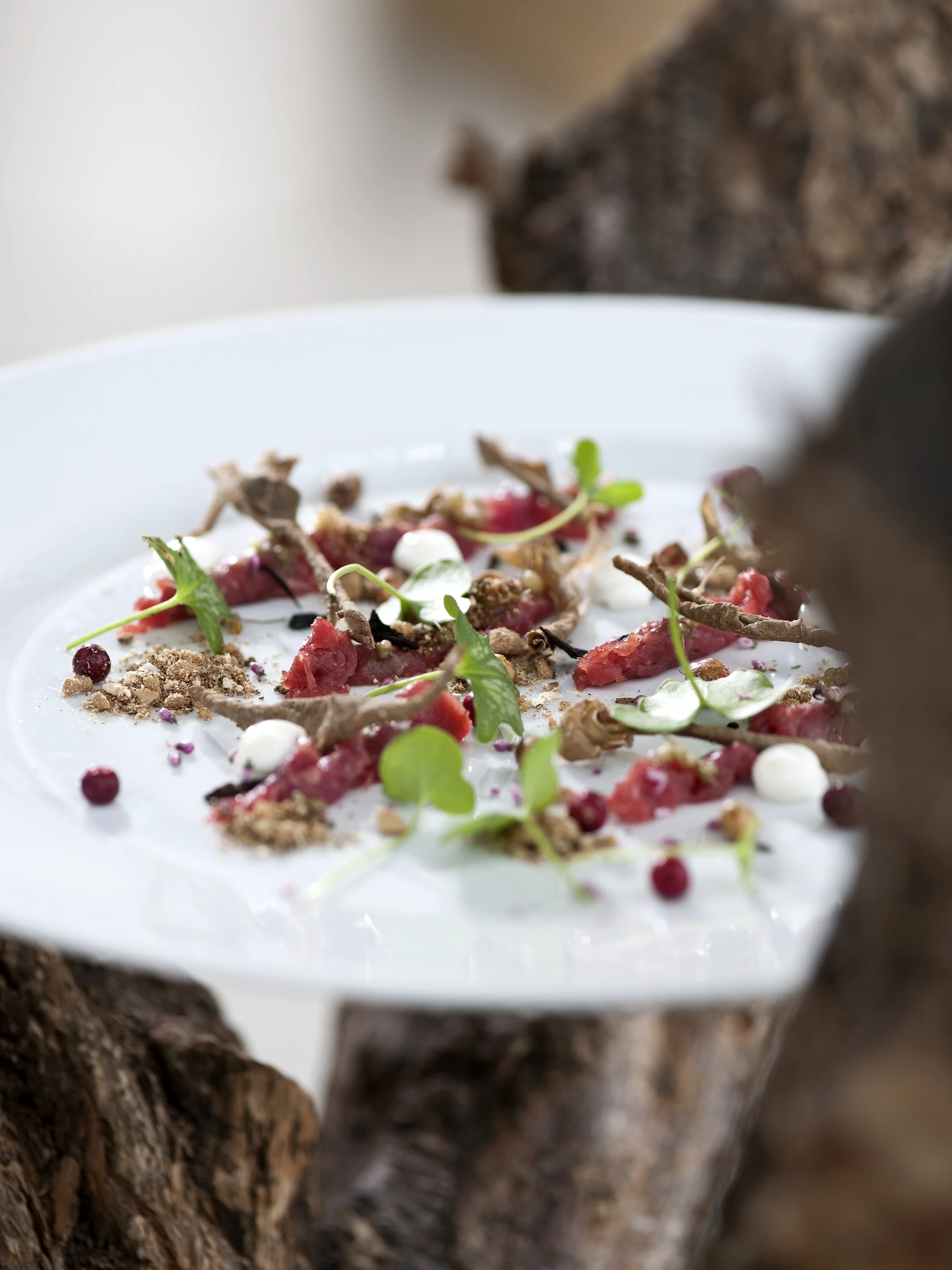 SPK_2009_food_01.jpg