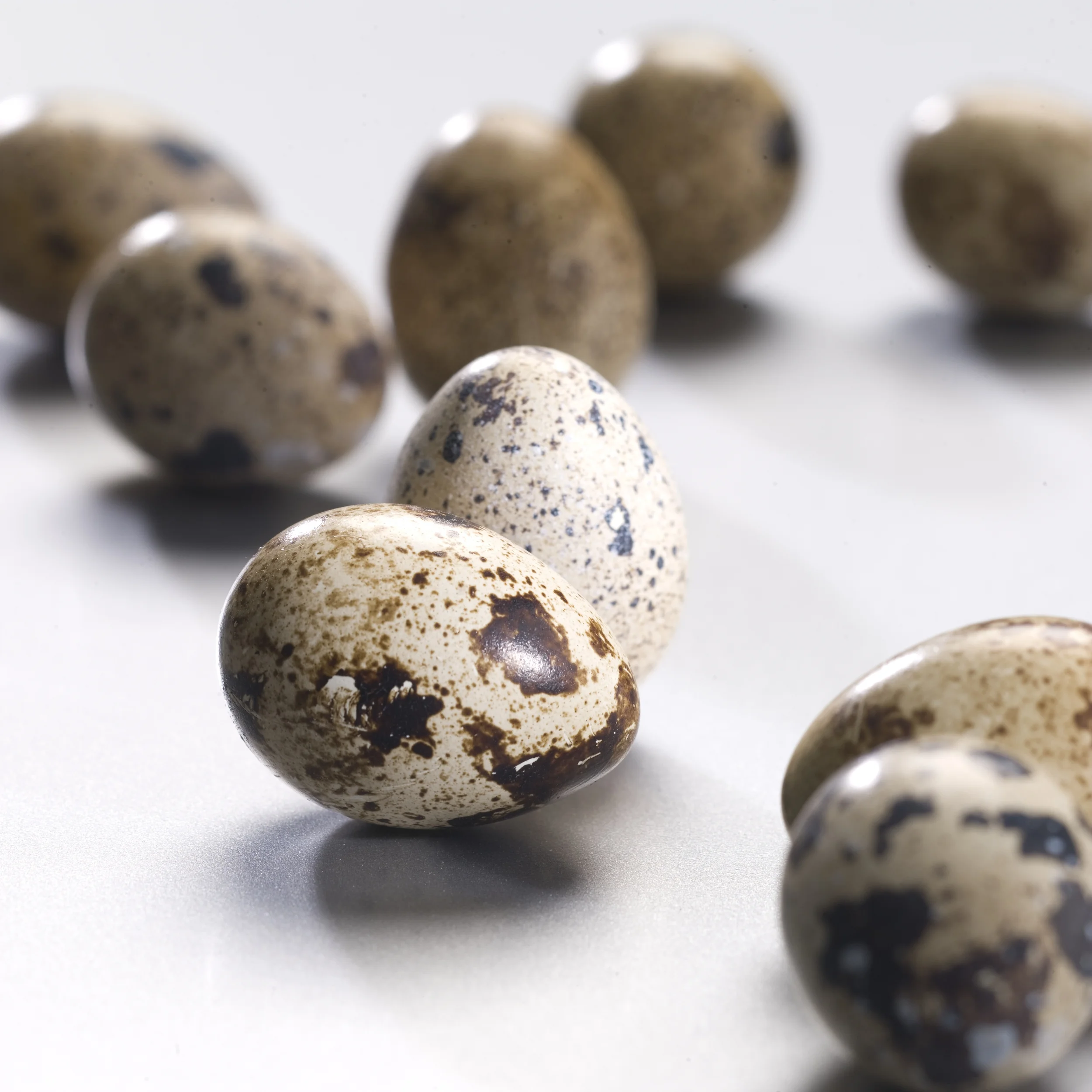 simplyfood_06_2008_016.jpg