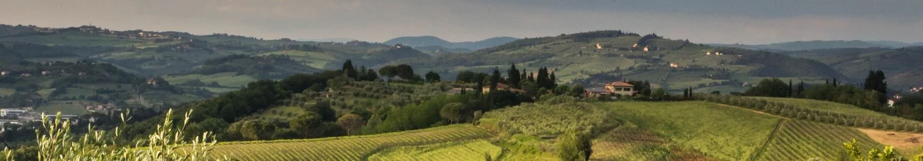 panorama.JPG