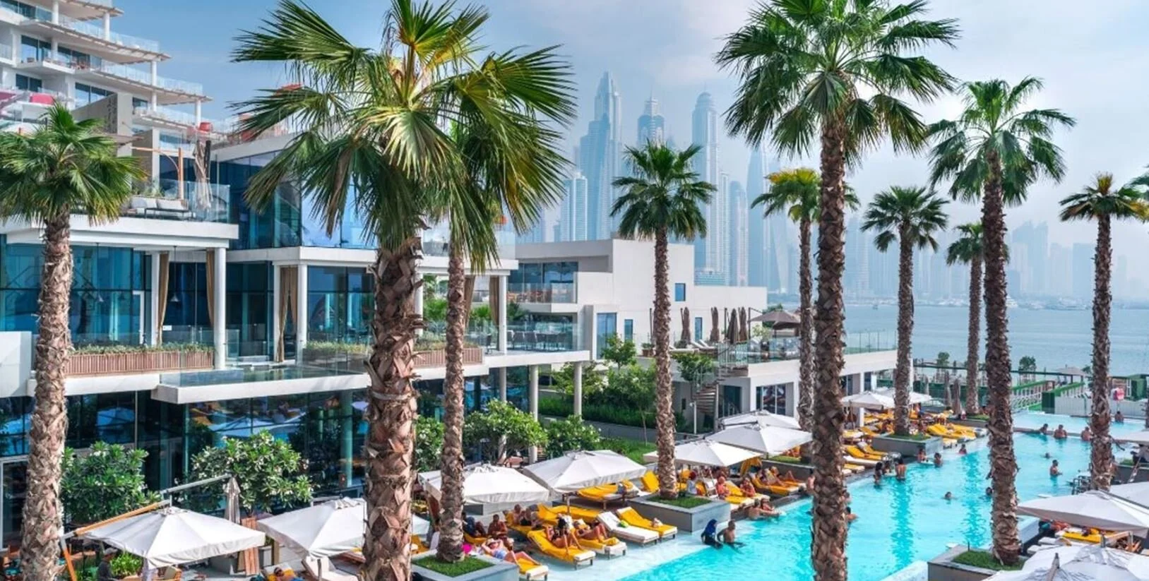 five palms 1.JPG
