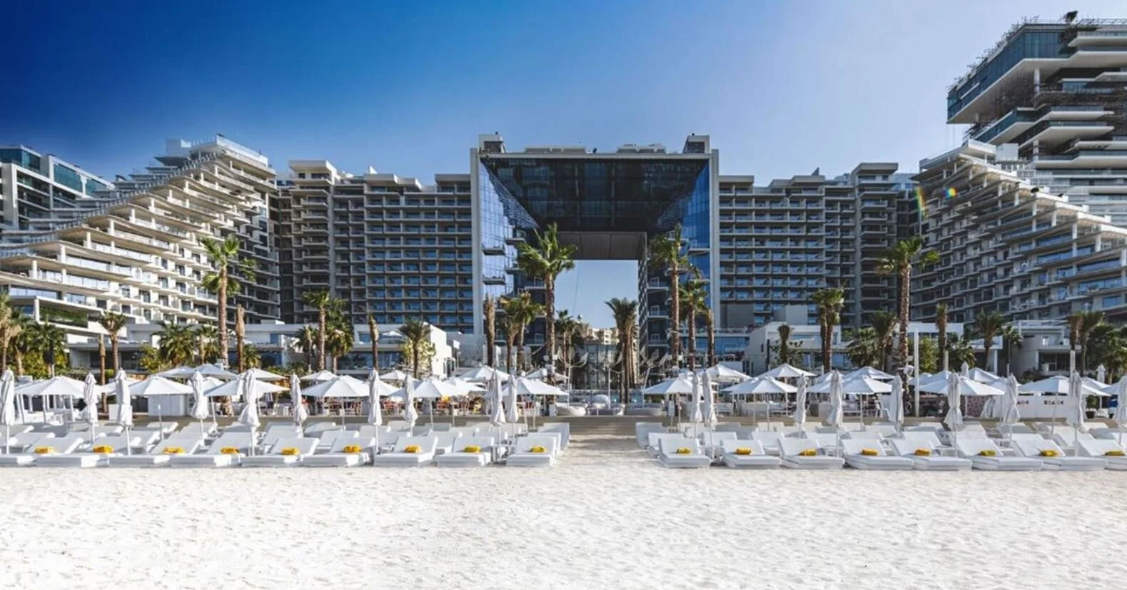 five palms 3.JPG