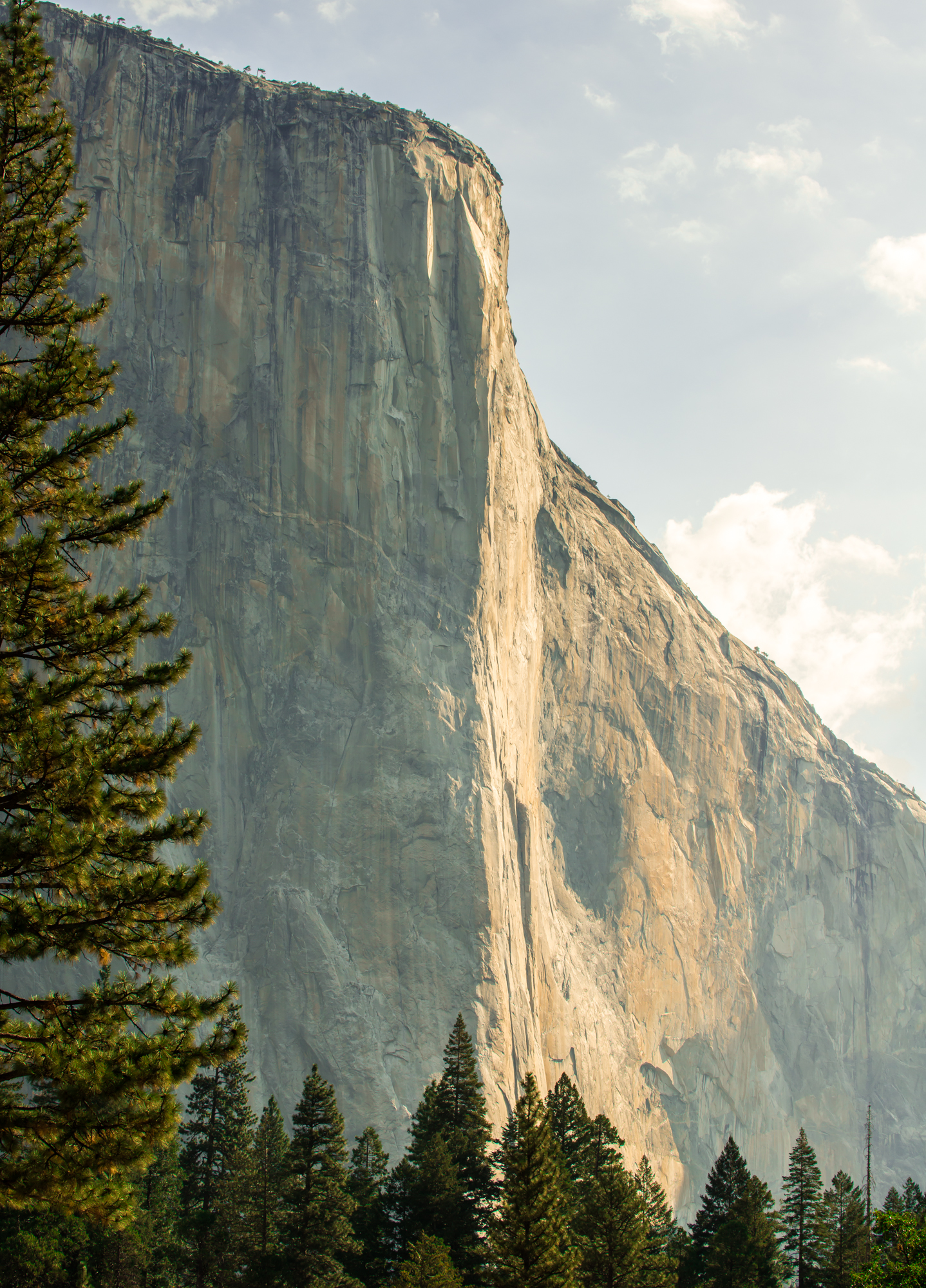 Yosemite NP | California