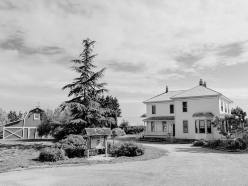 Family Farm Day