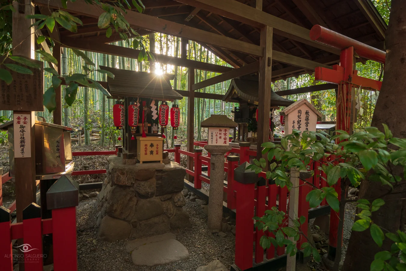 Shrine in a bamboo forest