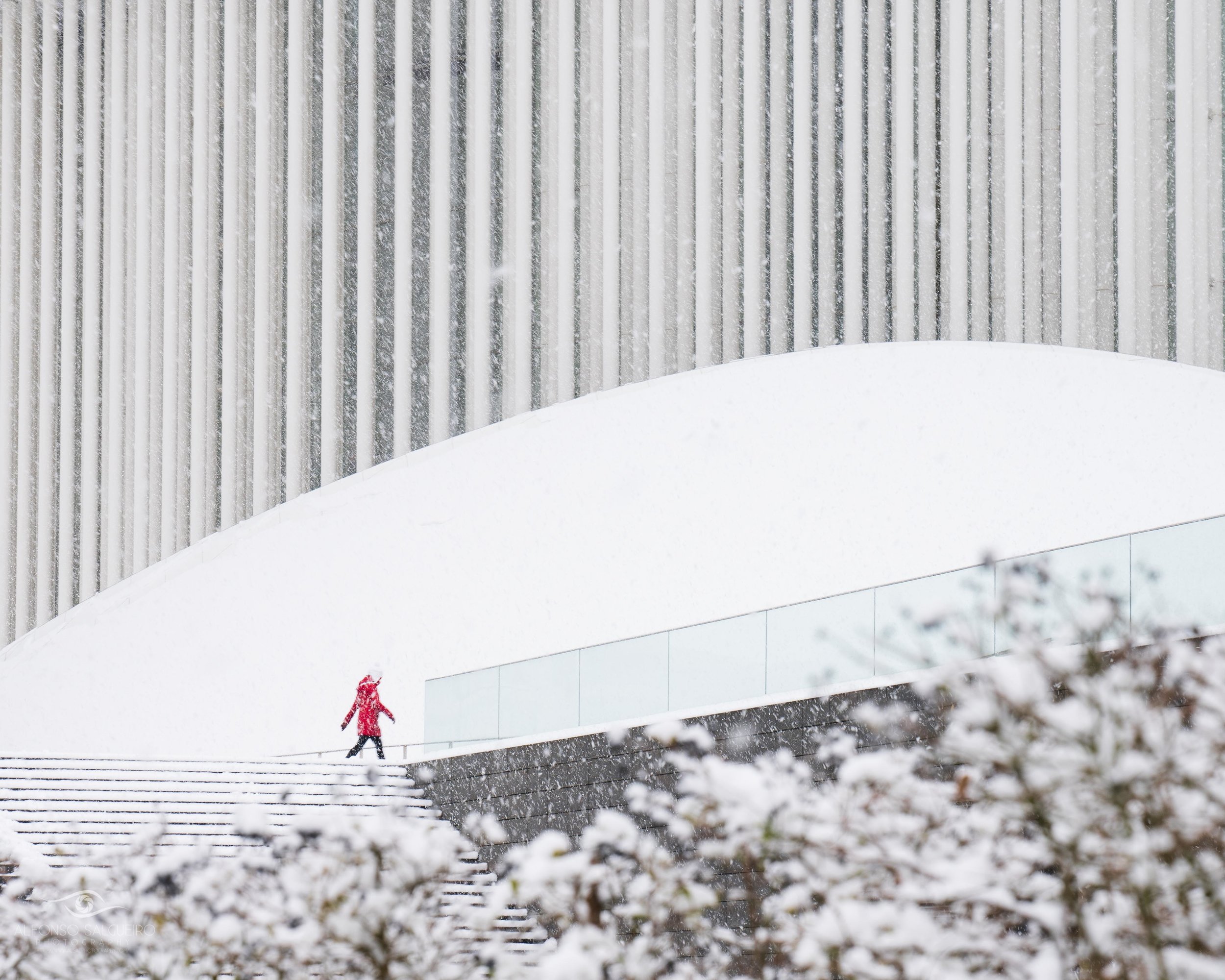 Philharmonie 18-19 season in images_-31.jpg