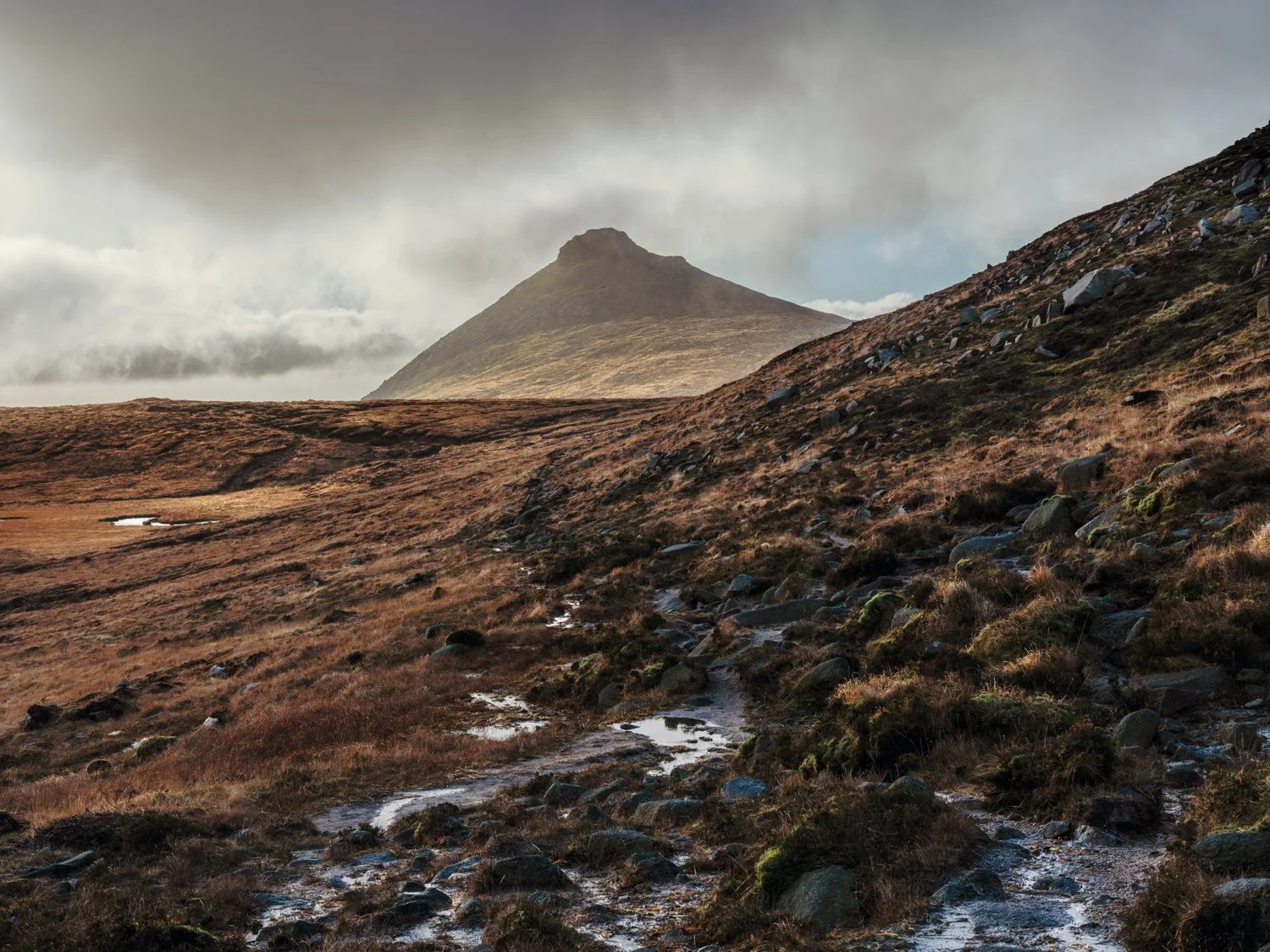 Ireland Xmas 2025-4.jpg