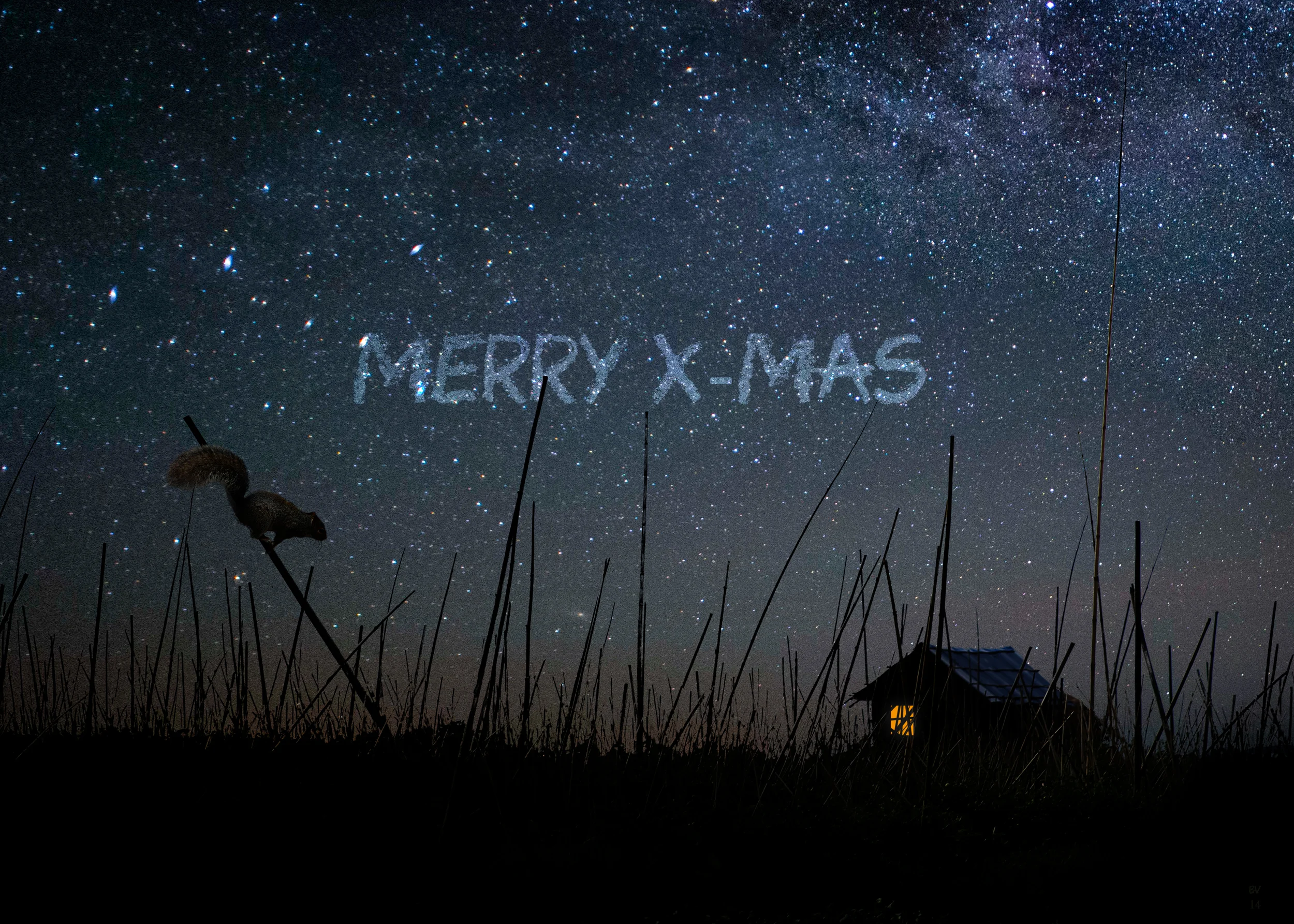 Christmascard 2014.jpg