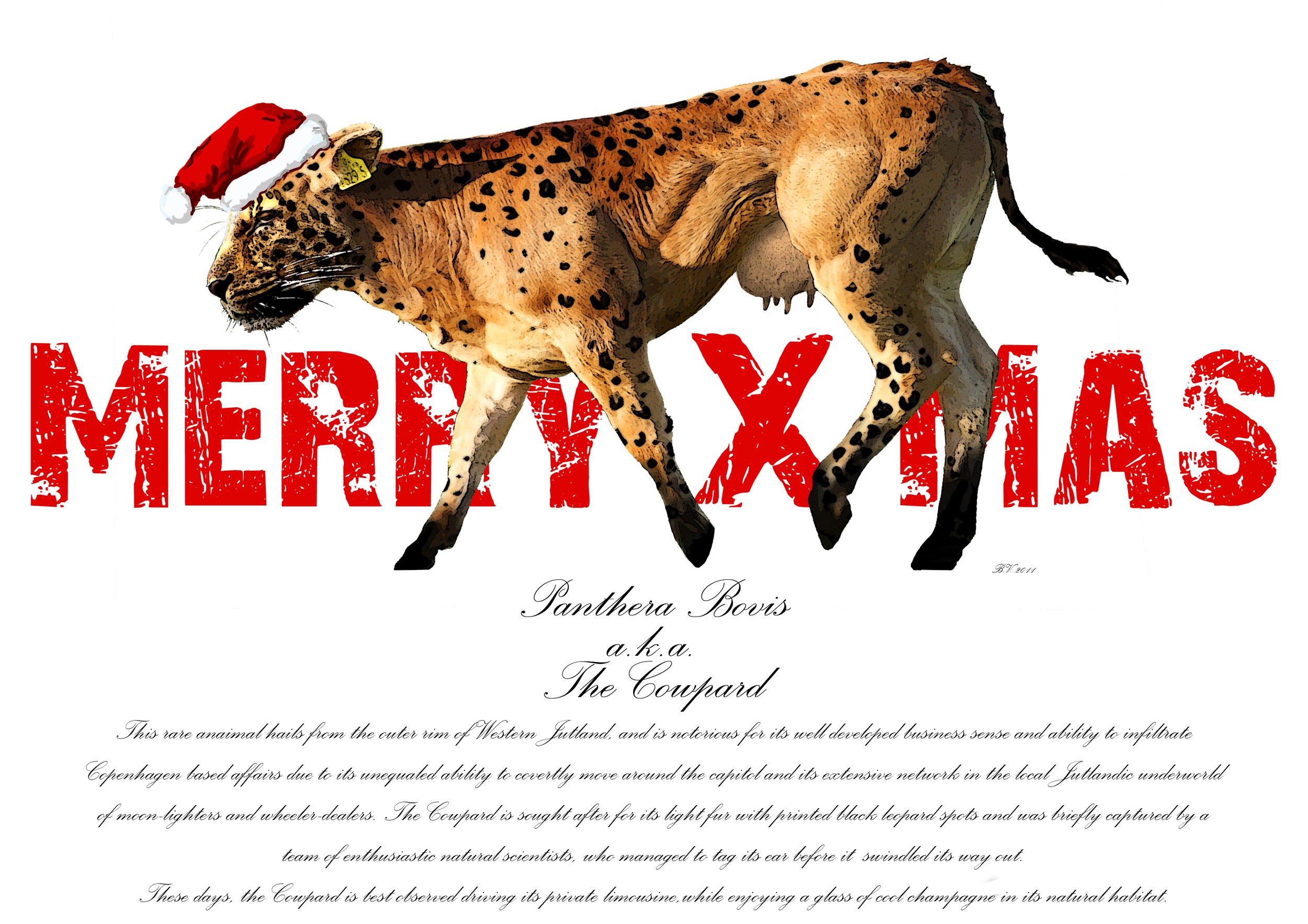 Christmascard_2011.jpg