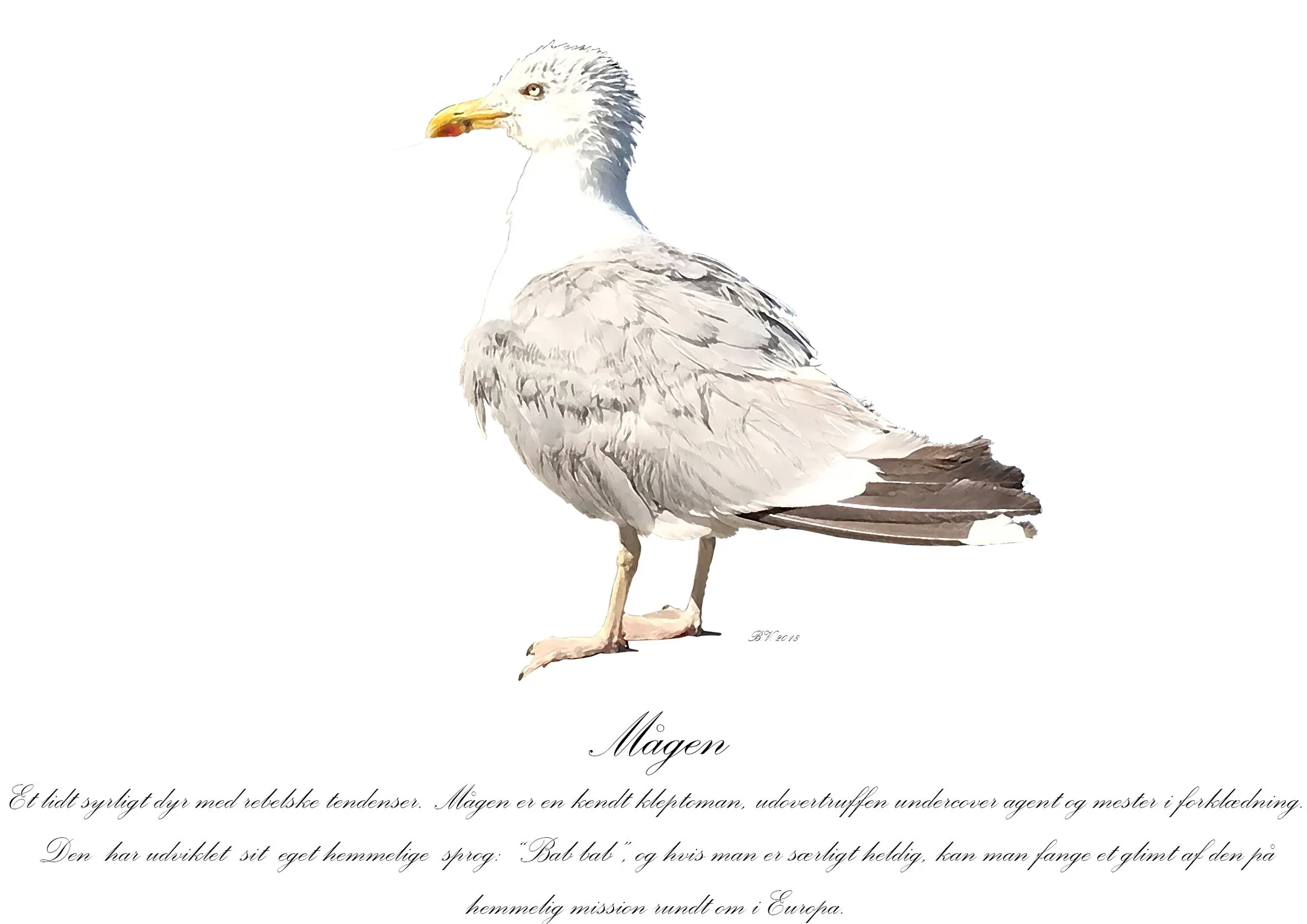 Mågen/The Seagull