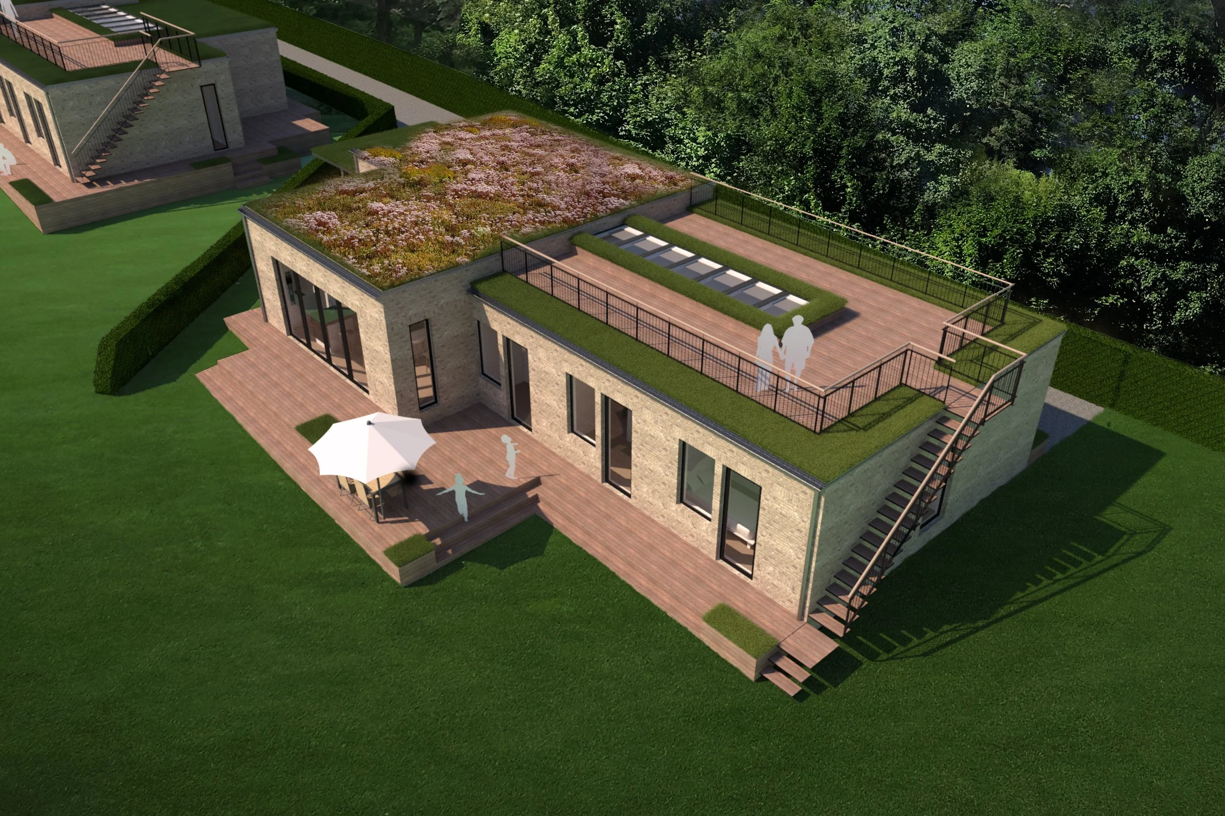 Birdseye A_med sedum.jpg