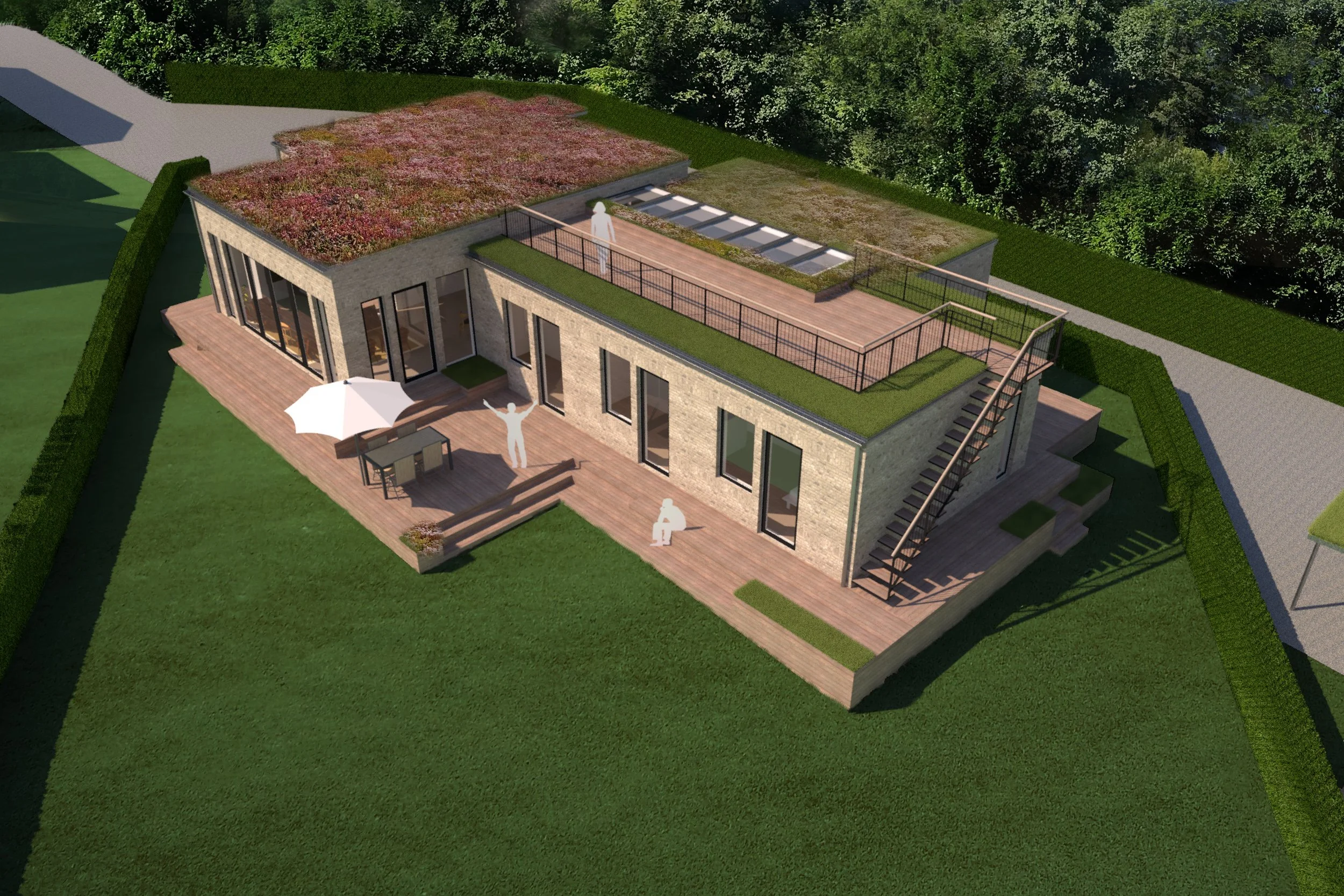 Birdseye B_med sedum_revA.jpg