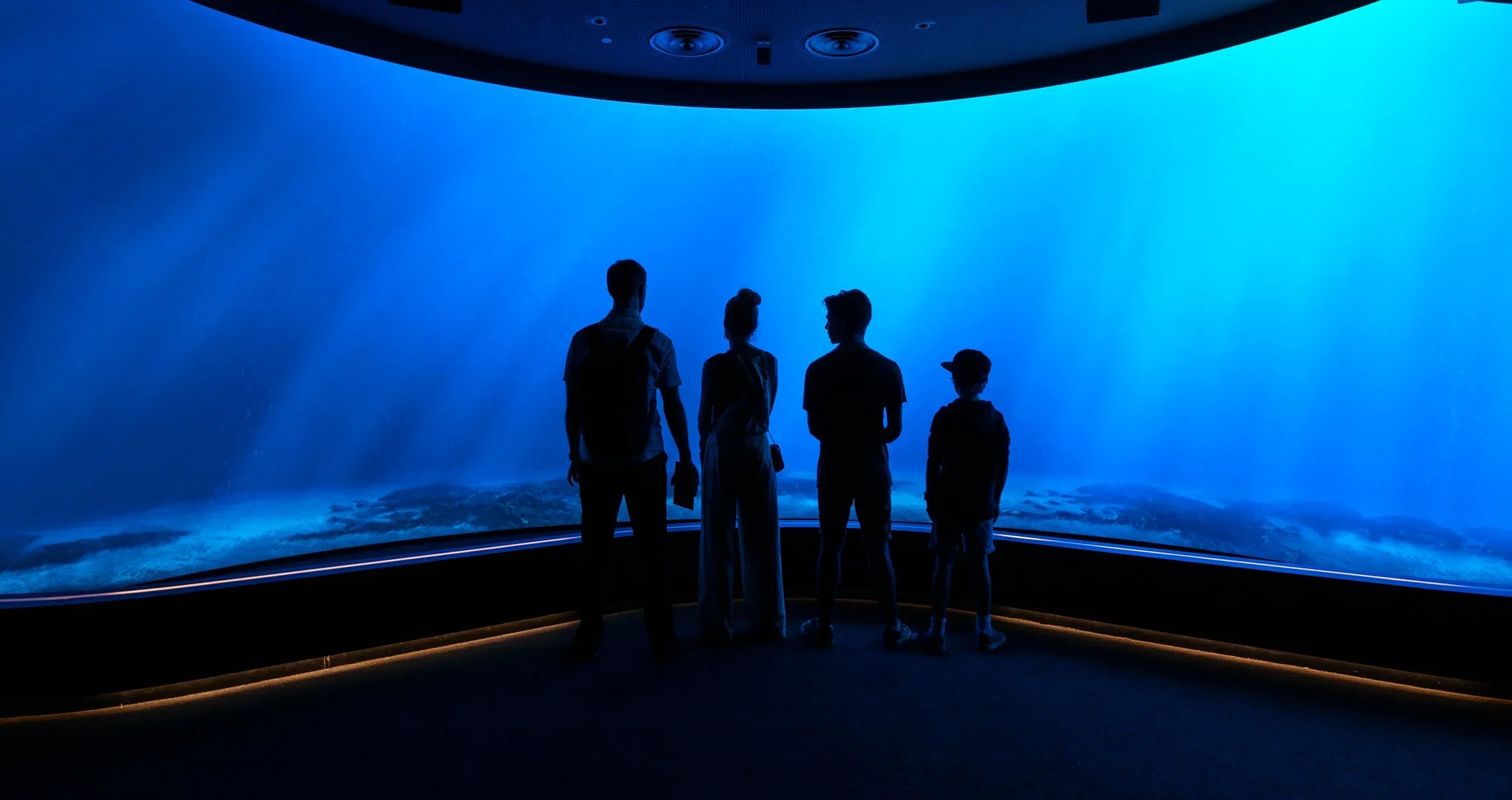 03_DSC09584.webp